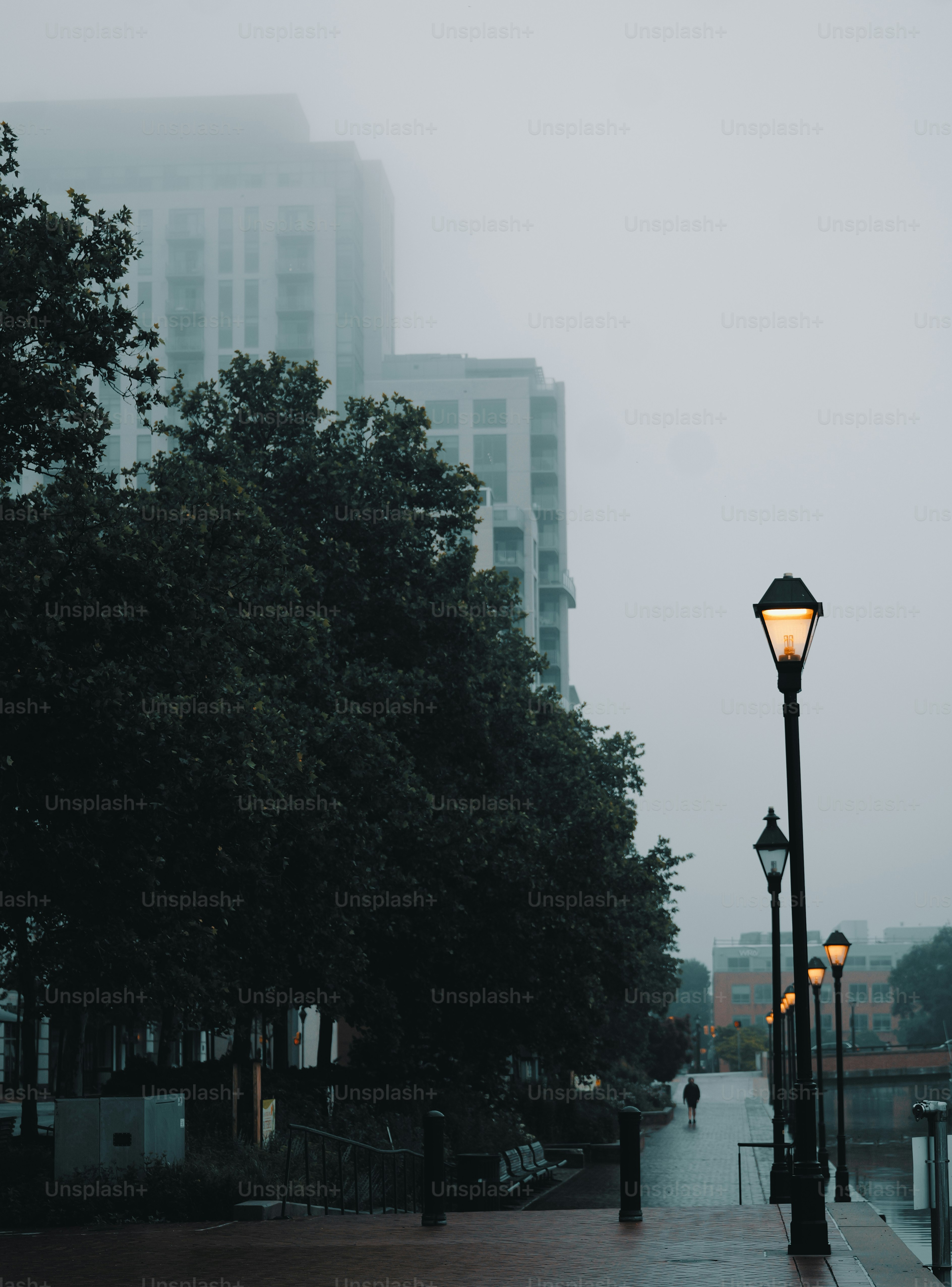 Foggy urban path with illuminated street lamps and distant buildings.