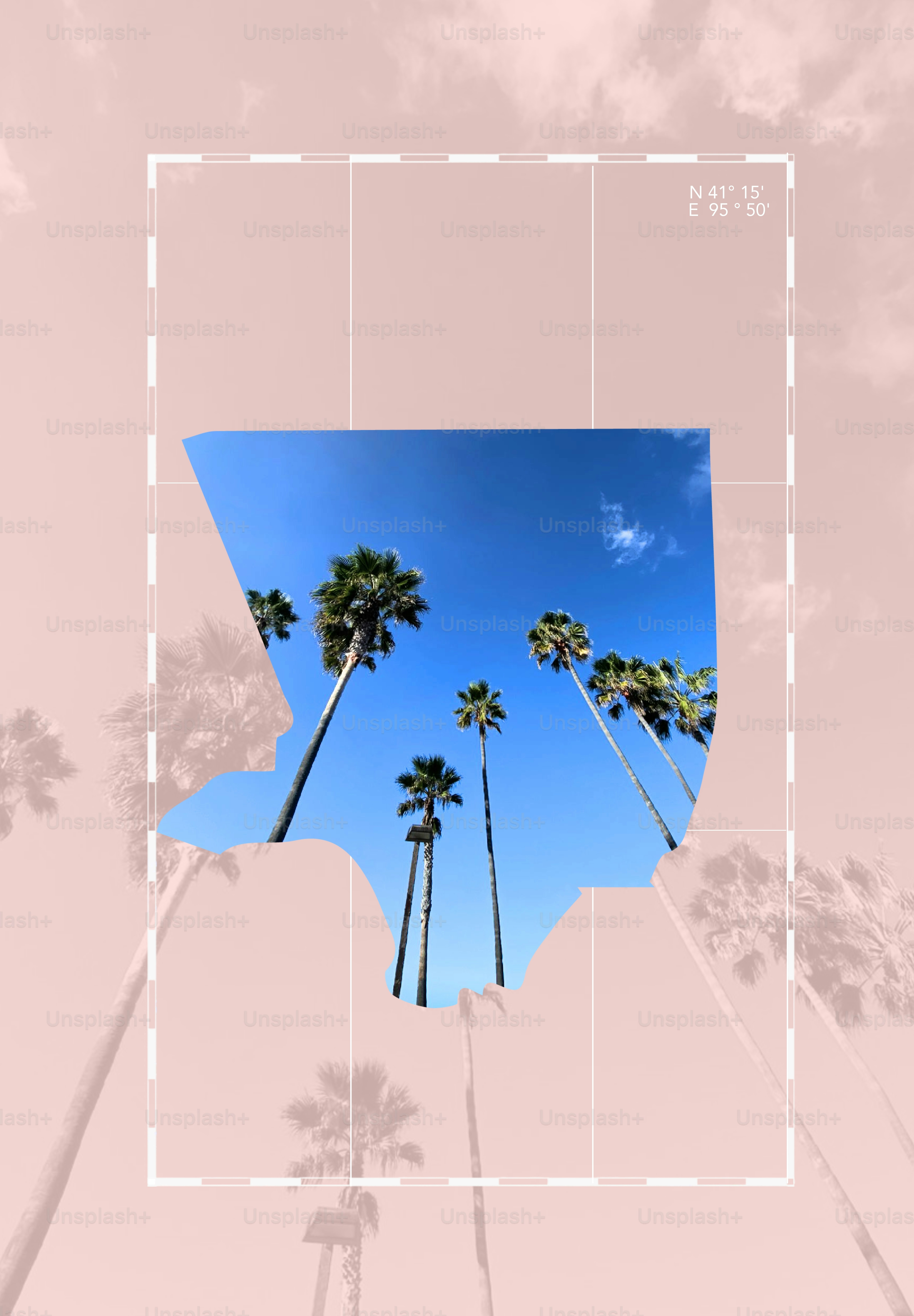 Palm trees against blue sky, framed on a pink background.