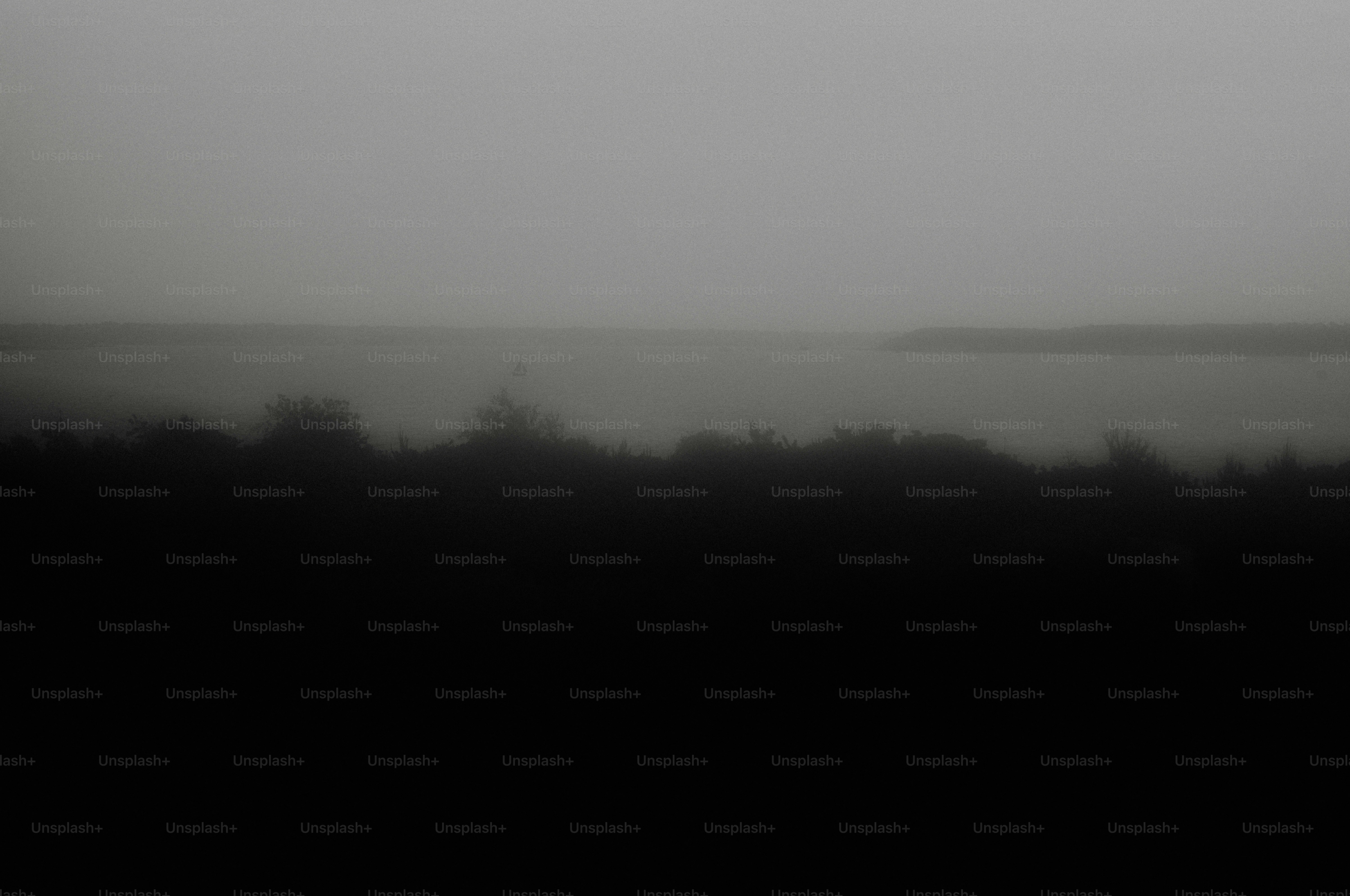 Misty lake with dark foreground trees - Photo on Unsplash+