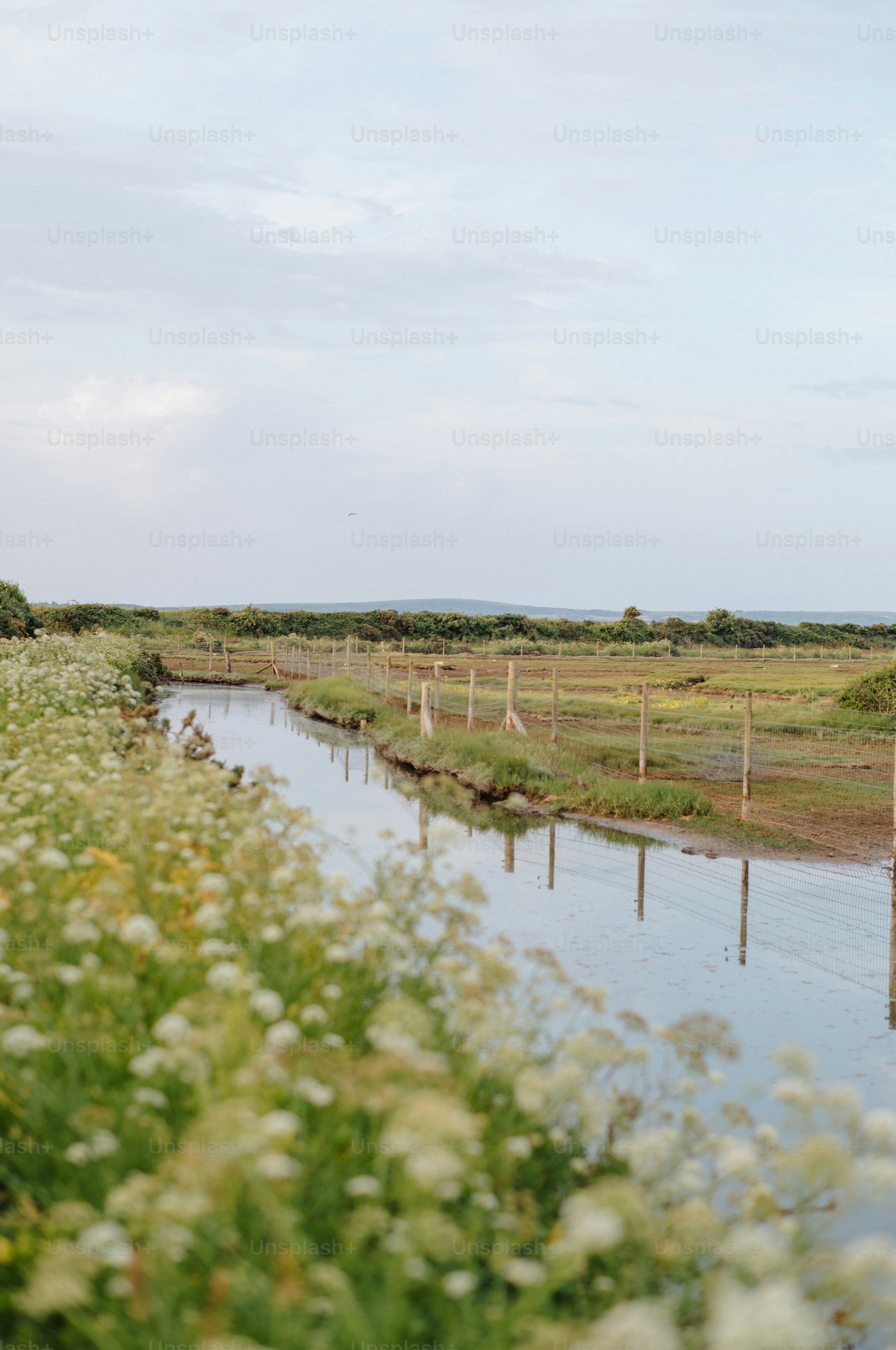 A narrow canal flows through a grassy field with wildflowers.