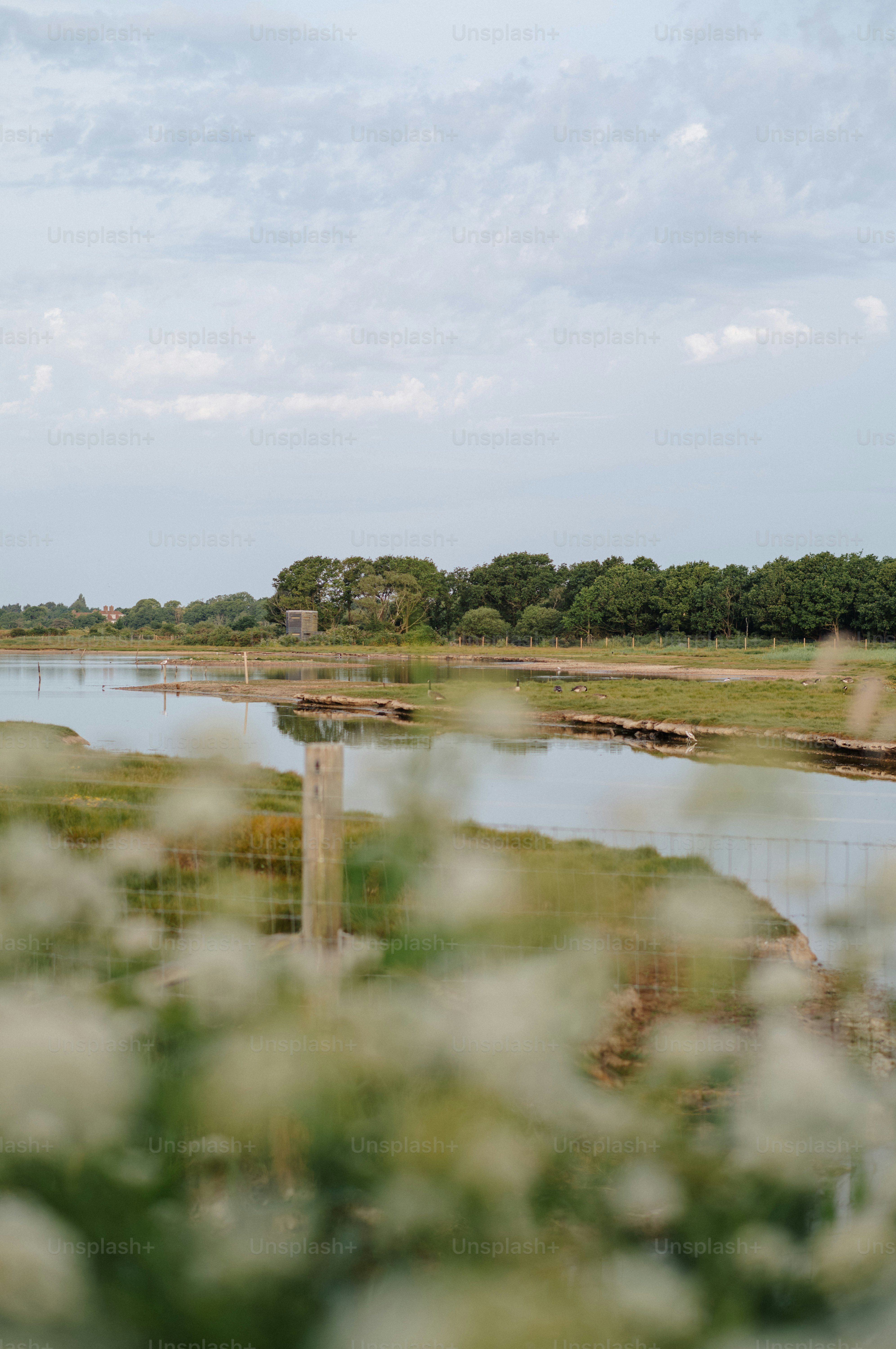 Serene river landscape with green banks, trees, and cloudy sky.