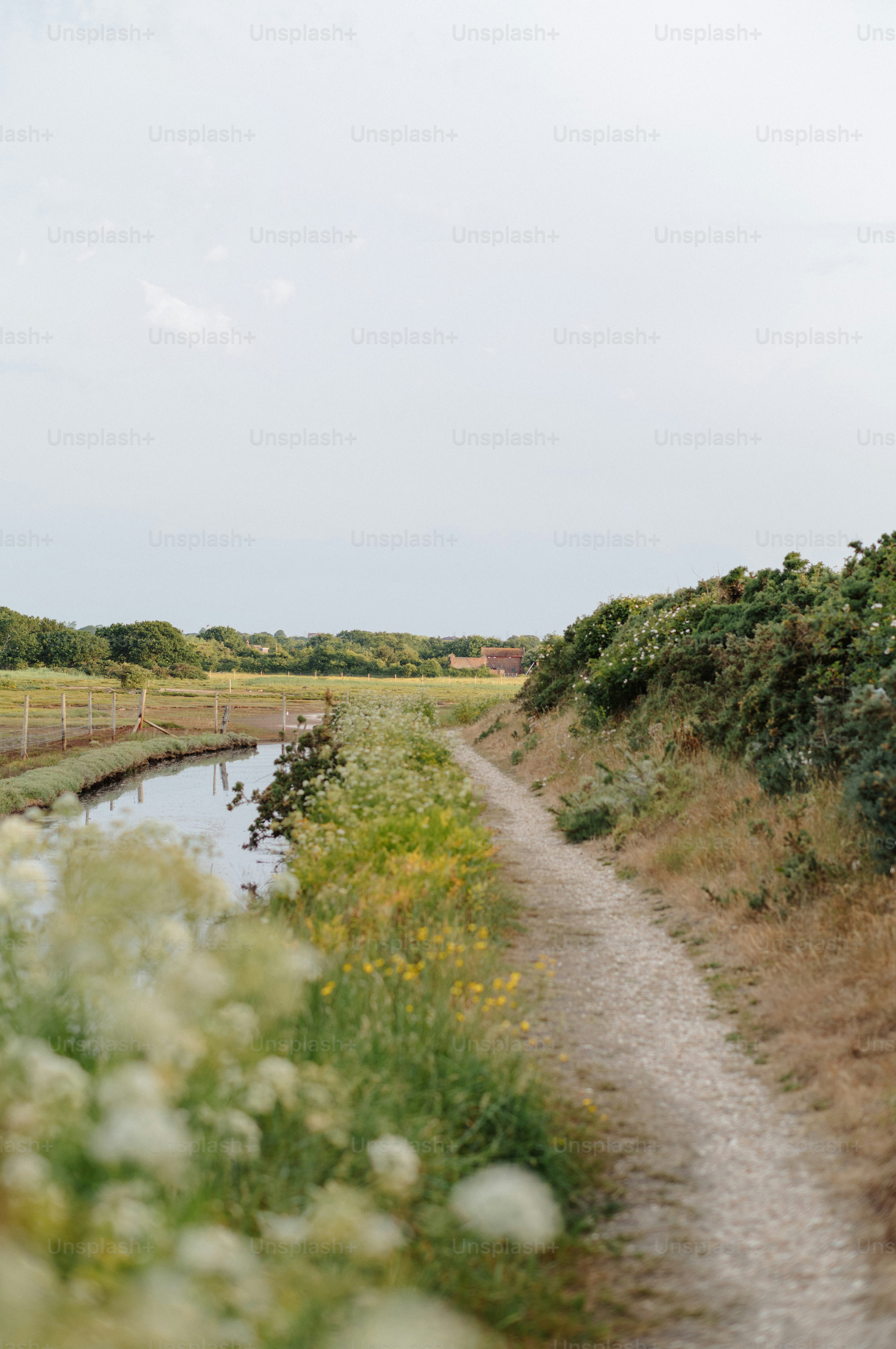 A dirt path runs alongside a canal with green bushes.