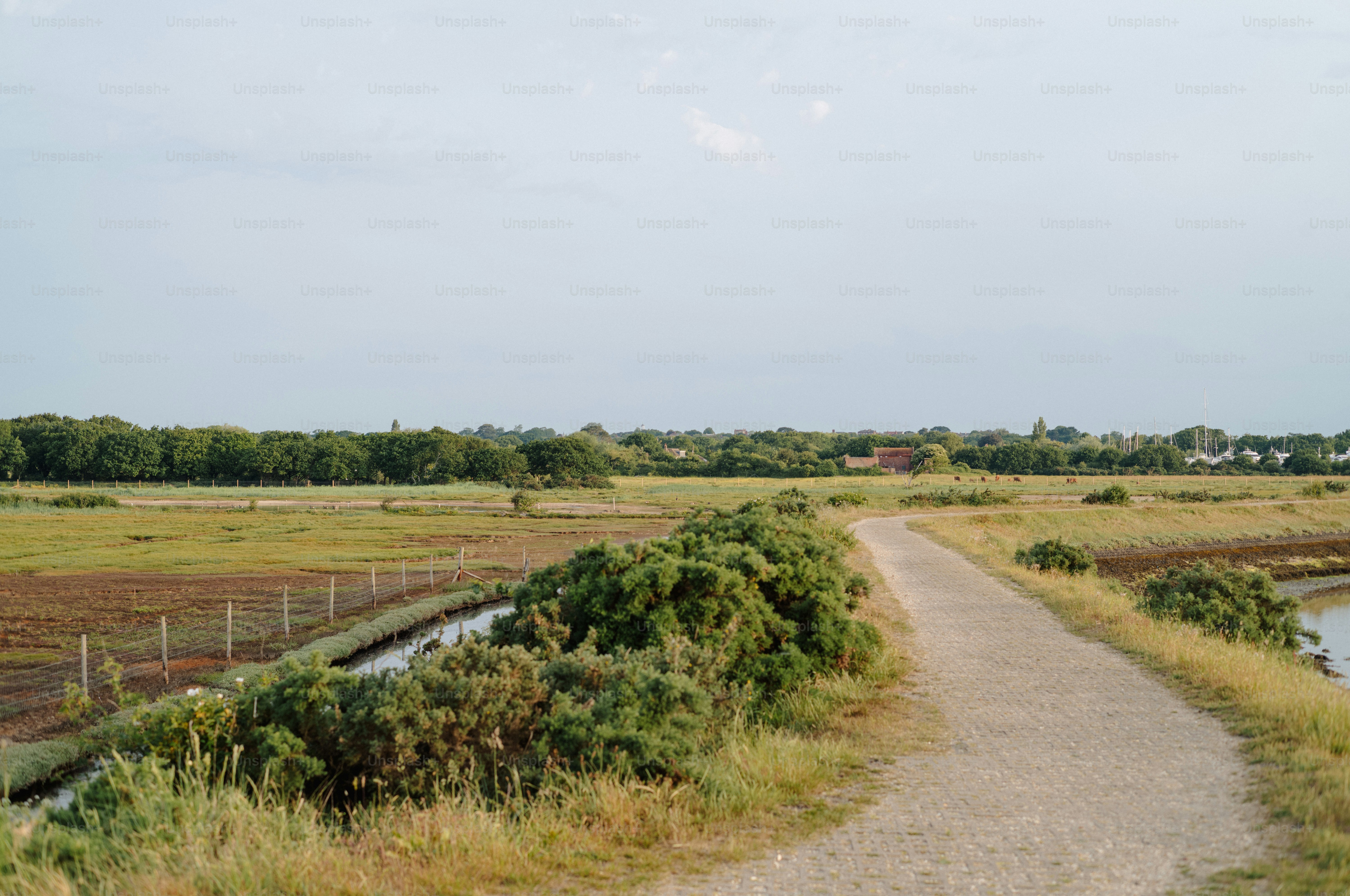 A winding path through green fields with distant trees.