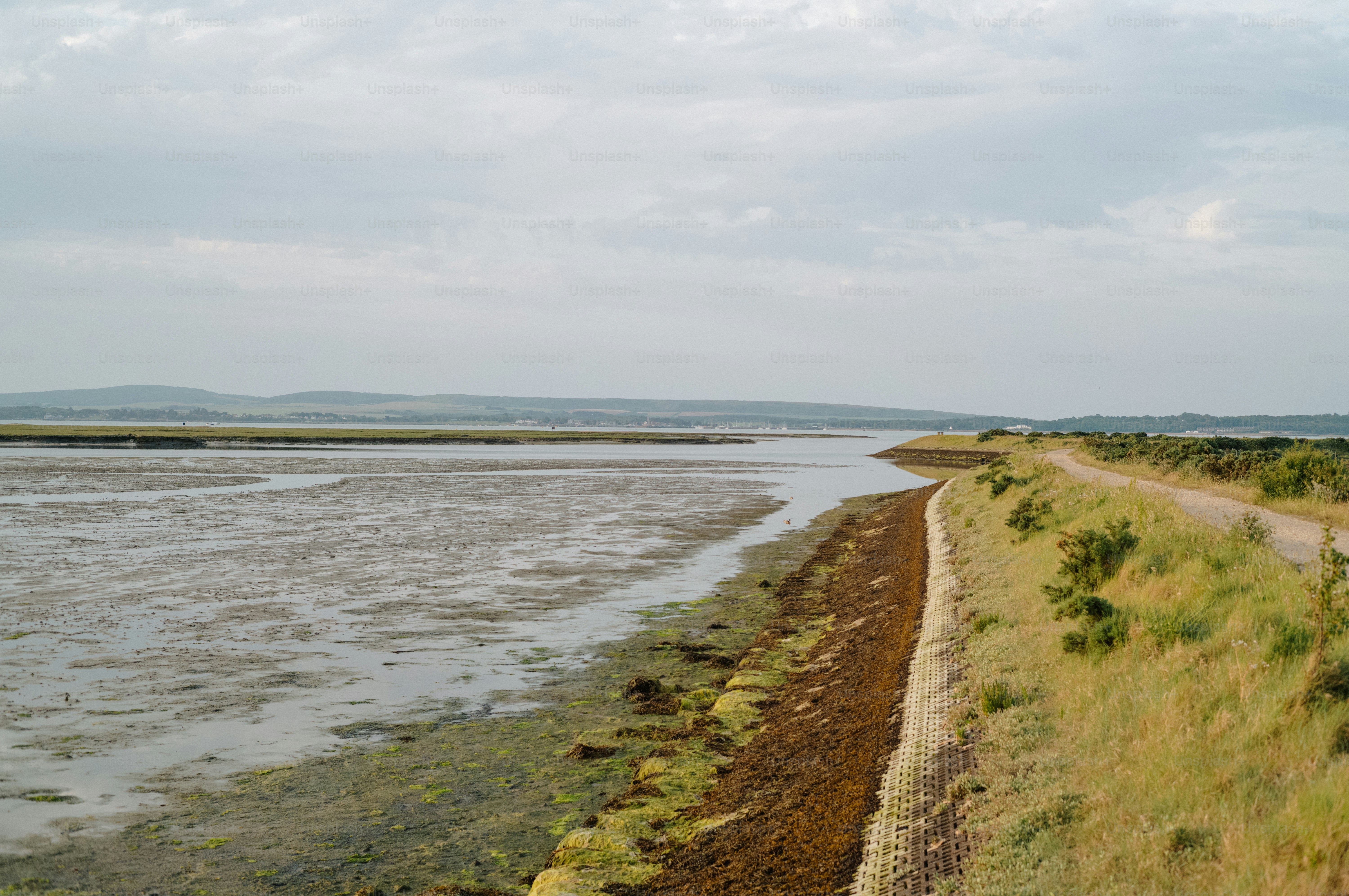 Wide estuary with mudflats and a grassy bank.