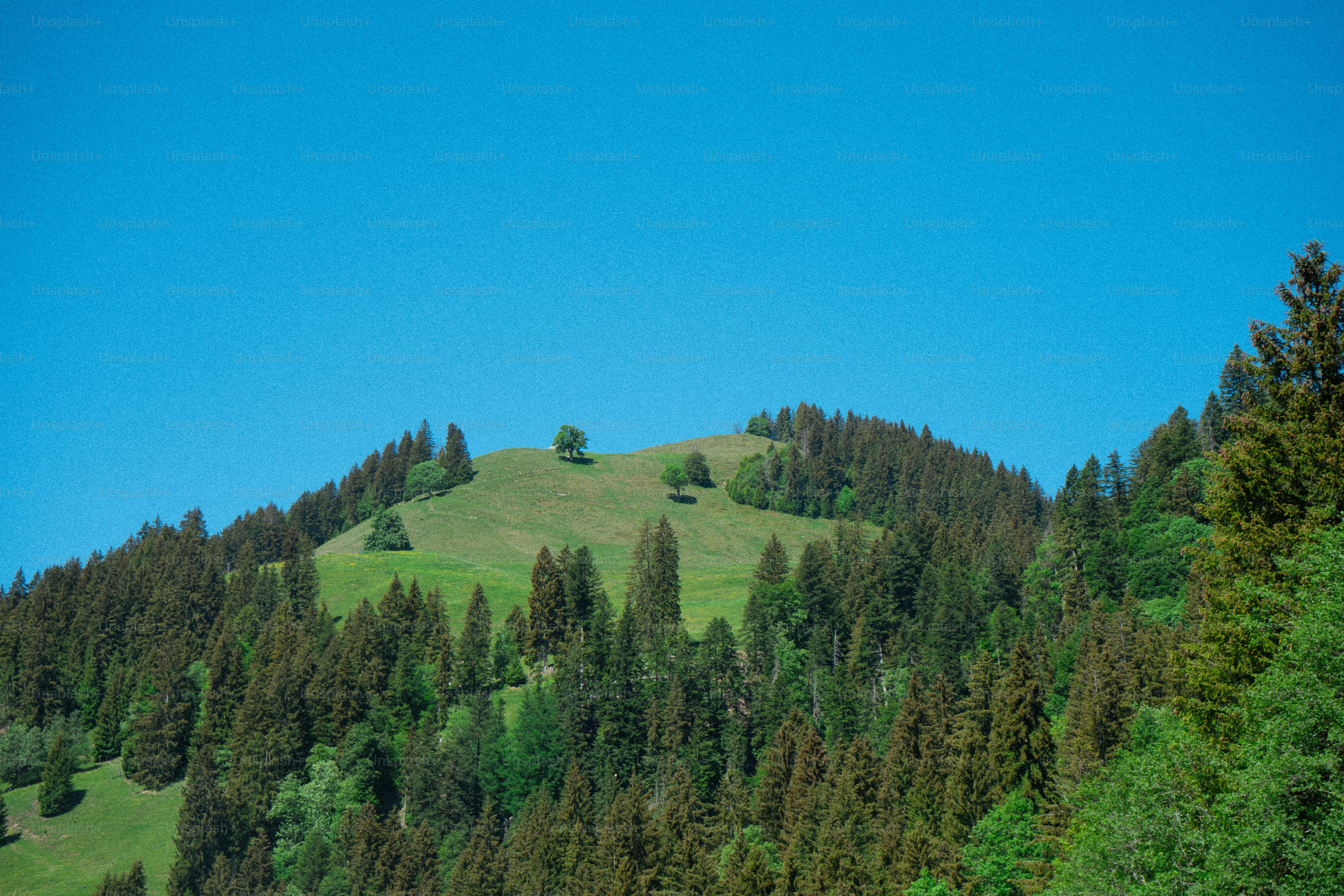 Gunung hijau dengan hutan lebat di bawah langit biru jernih.