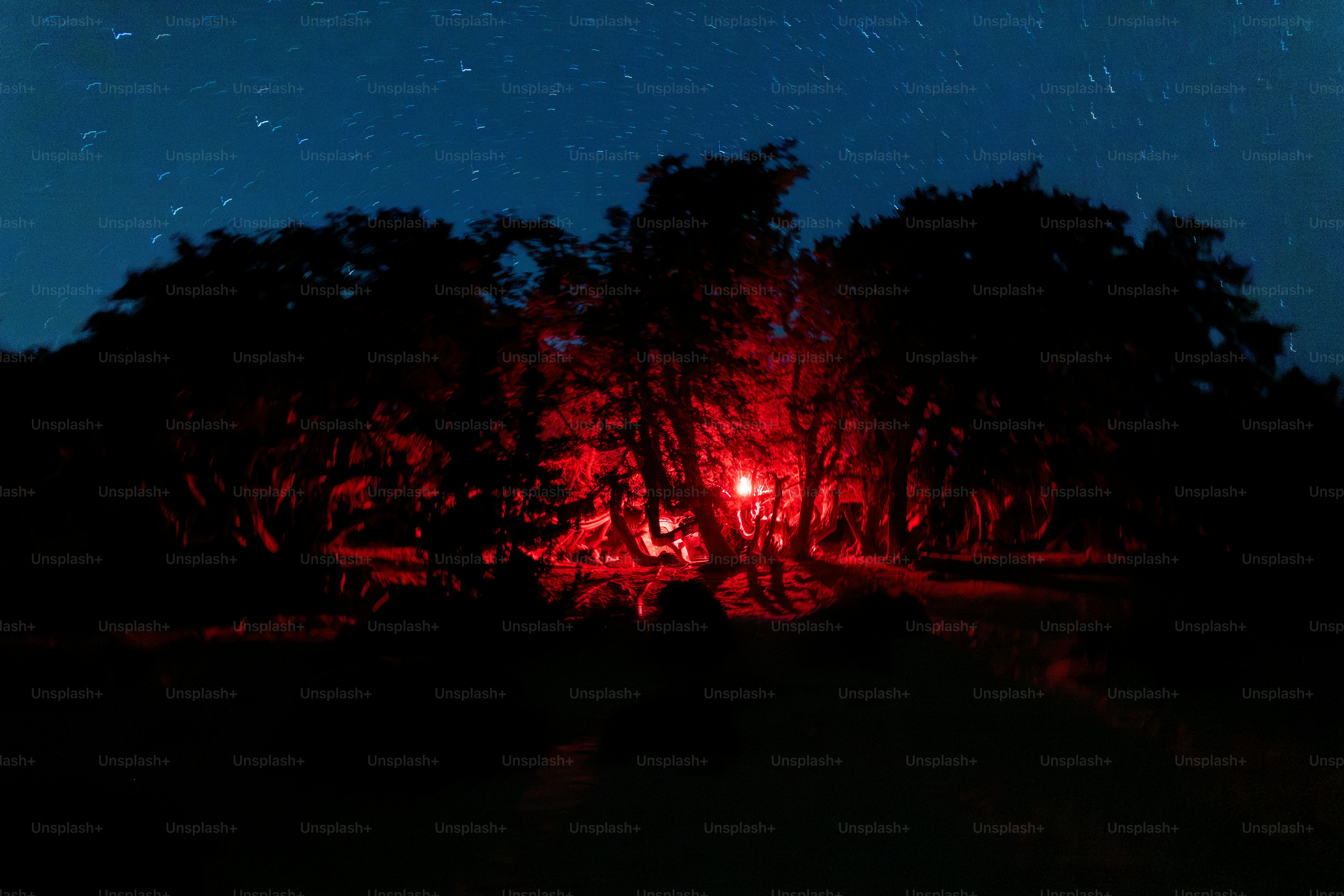 Hutan gelap bersinar merah di bawah langit malam berbintang.