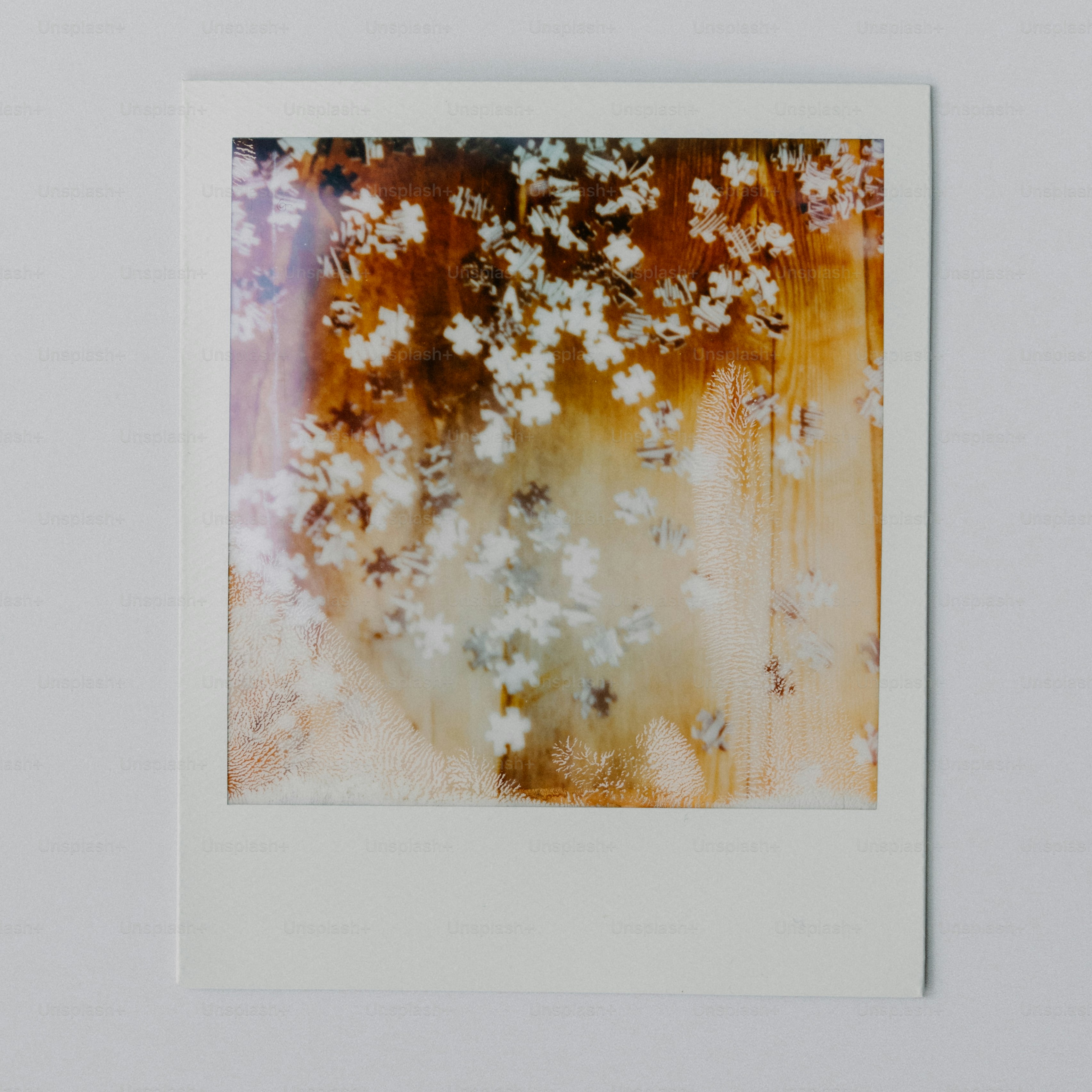 Polaroid print with abstract white shapes on a warm background.