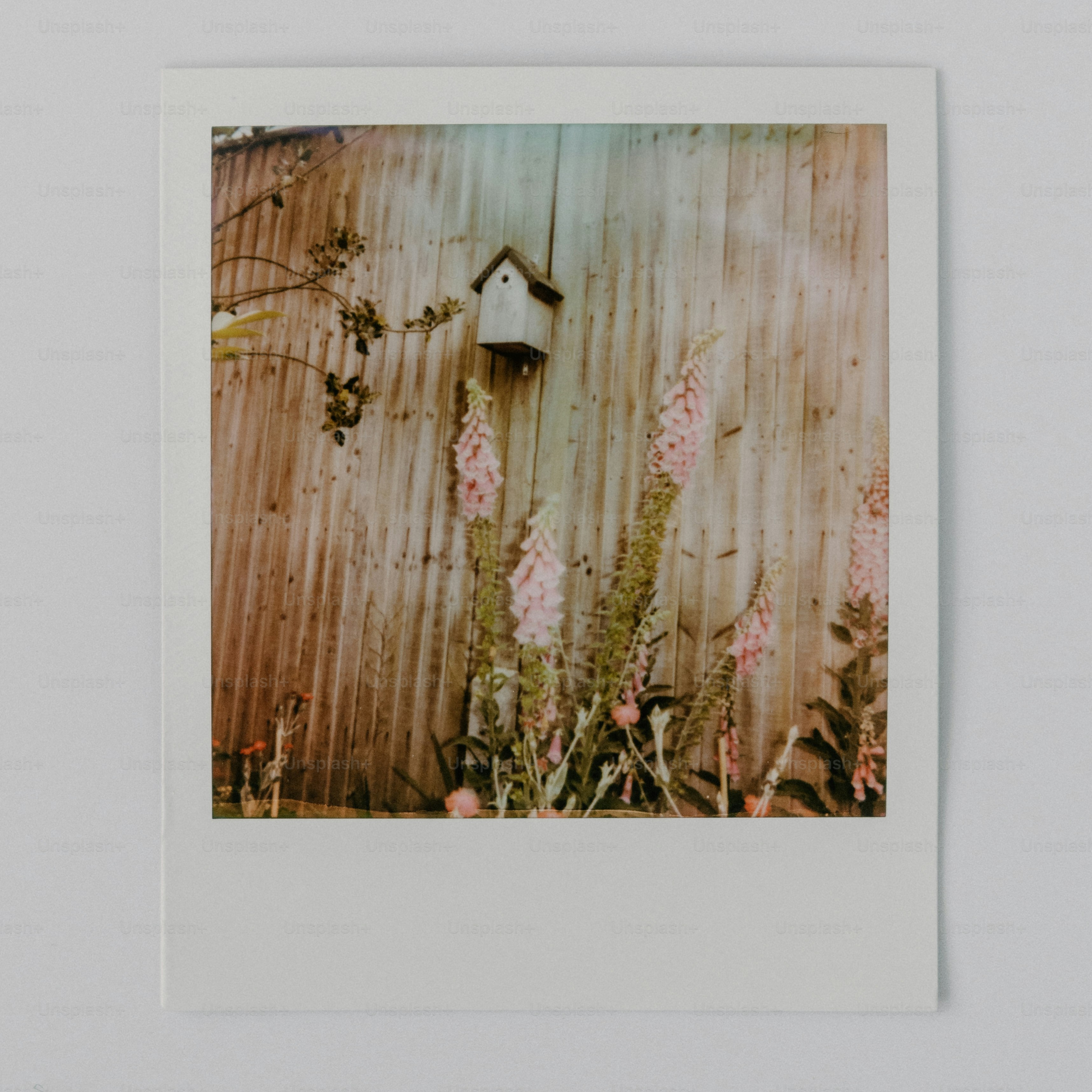 A birdhouse on a wooden fence with pink flowers.