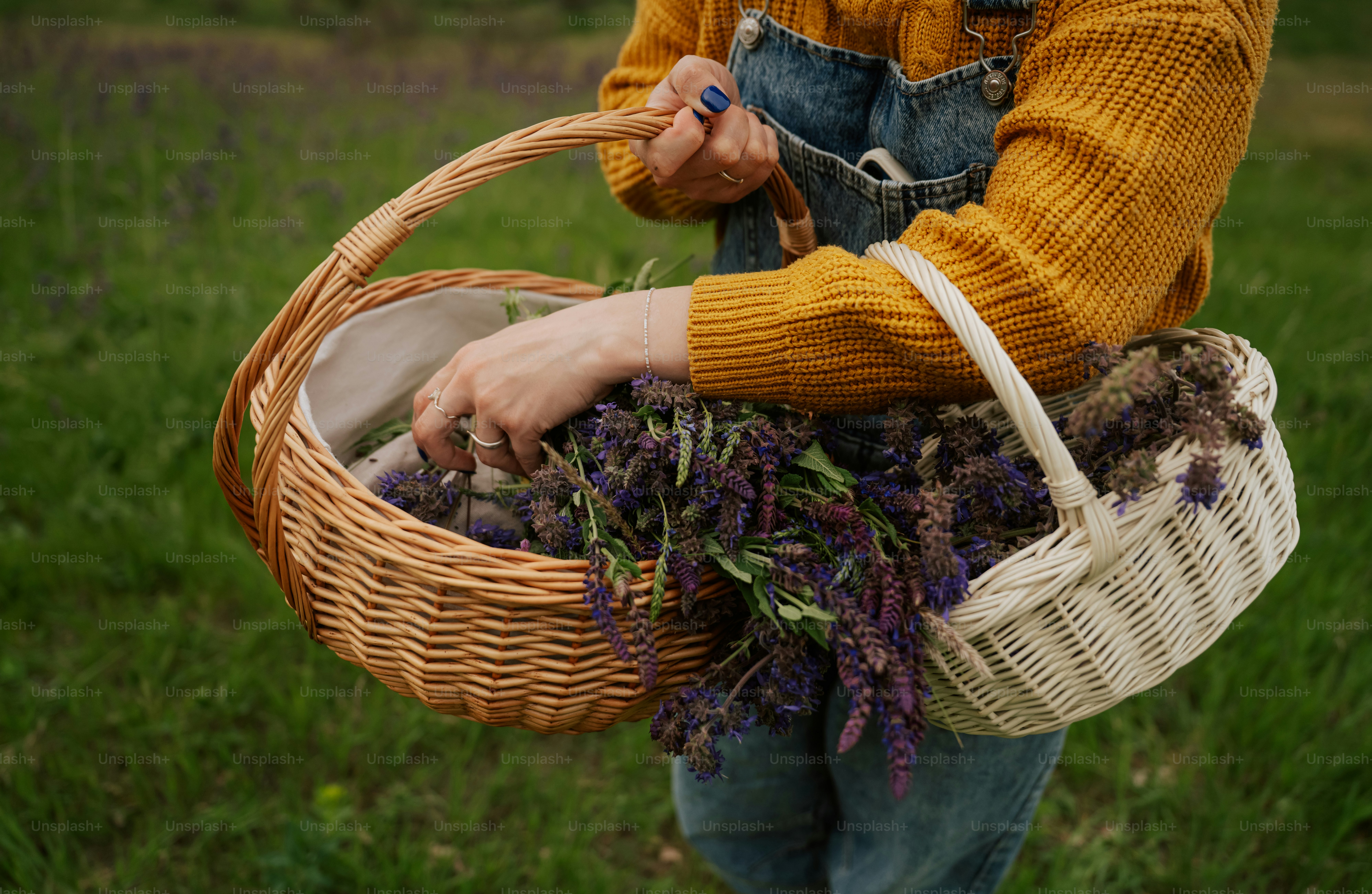 A person holding two baskets filled with purple lavender flowers.