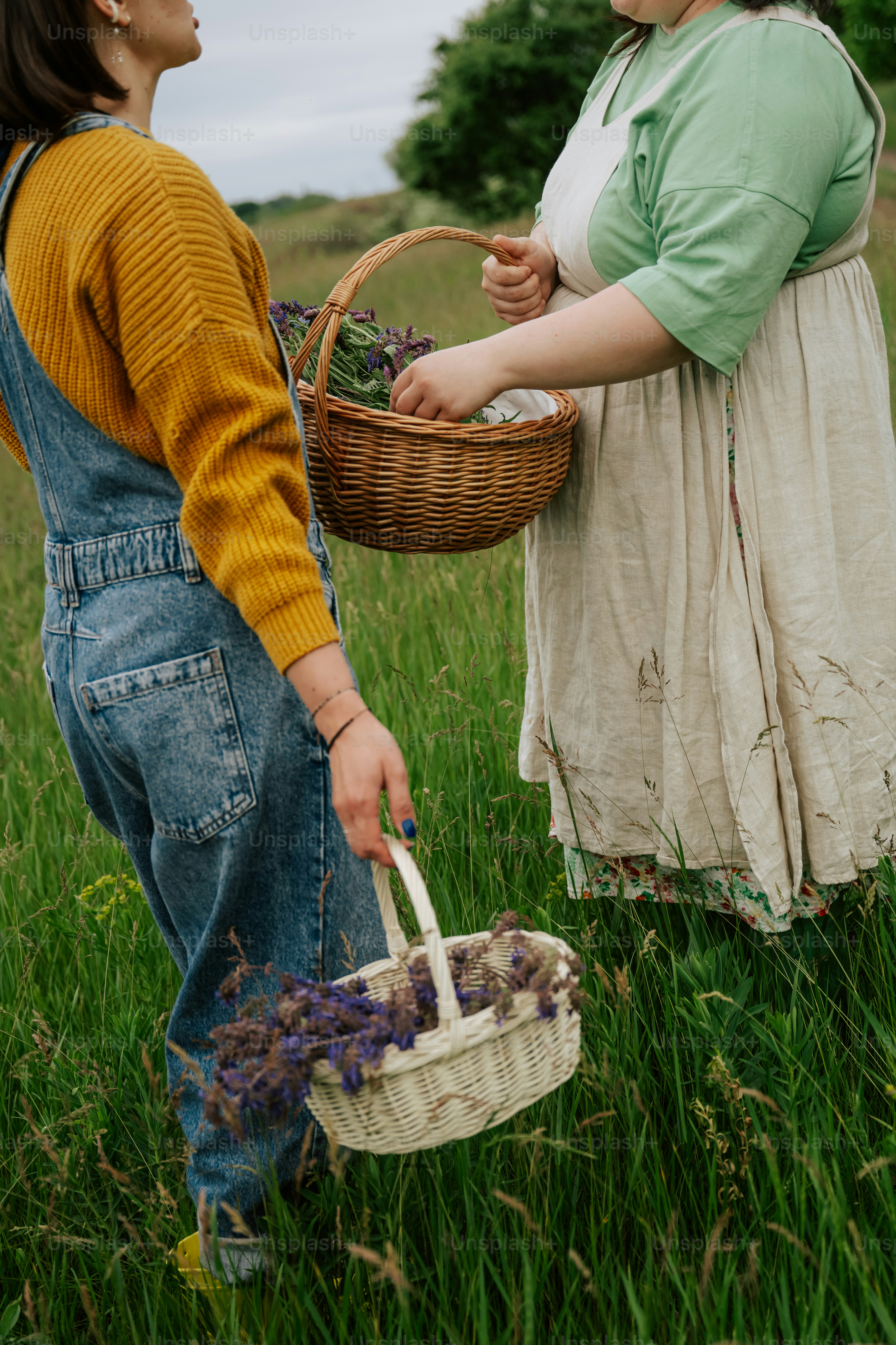Two women collecting flowers in a green field.