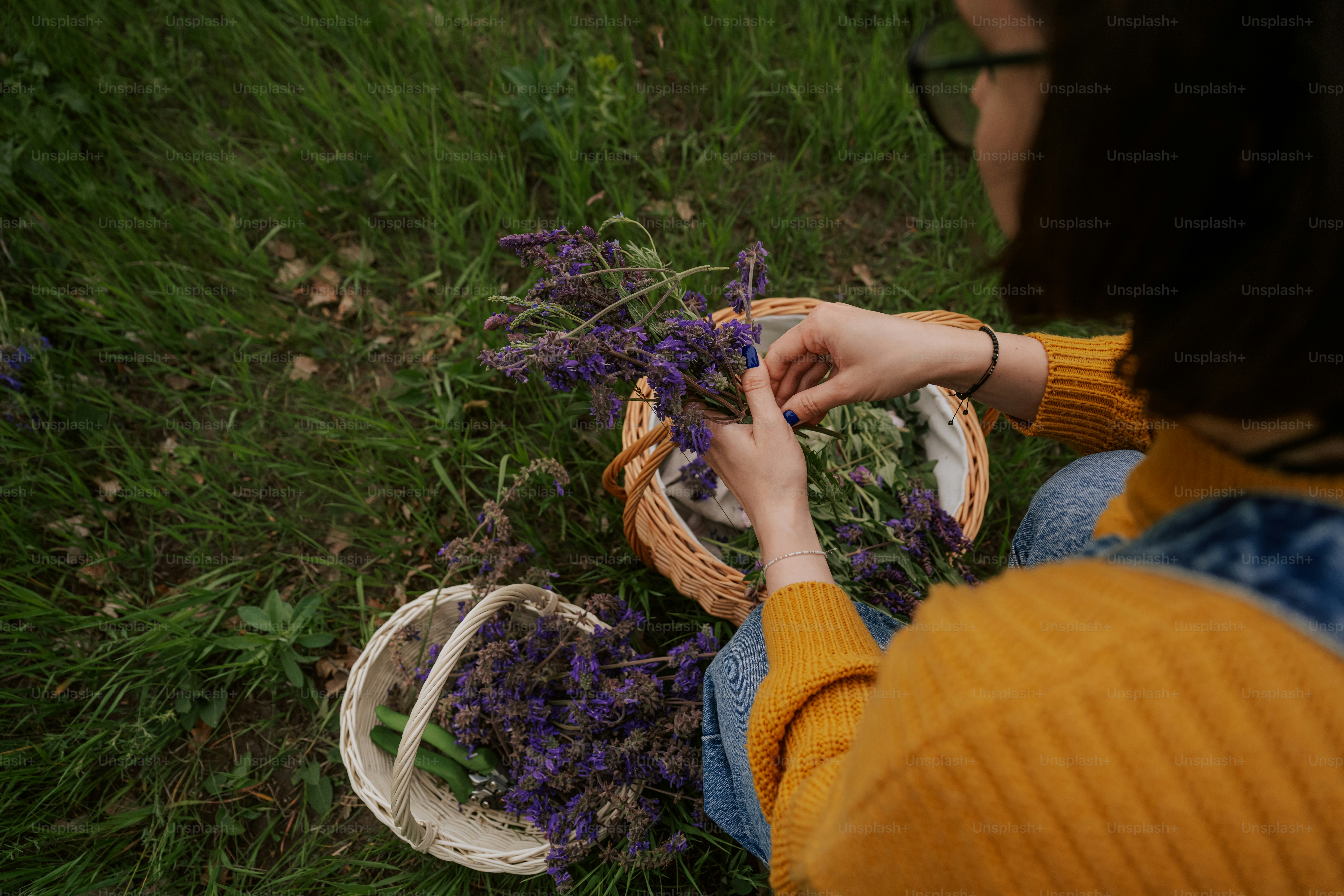 Person sorting purple flowers into baskets outdoors.