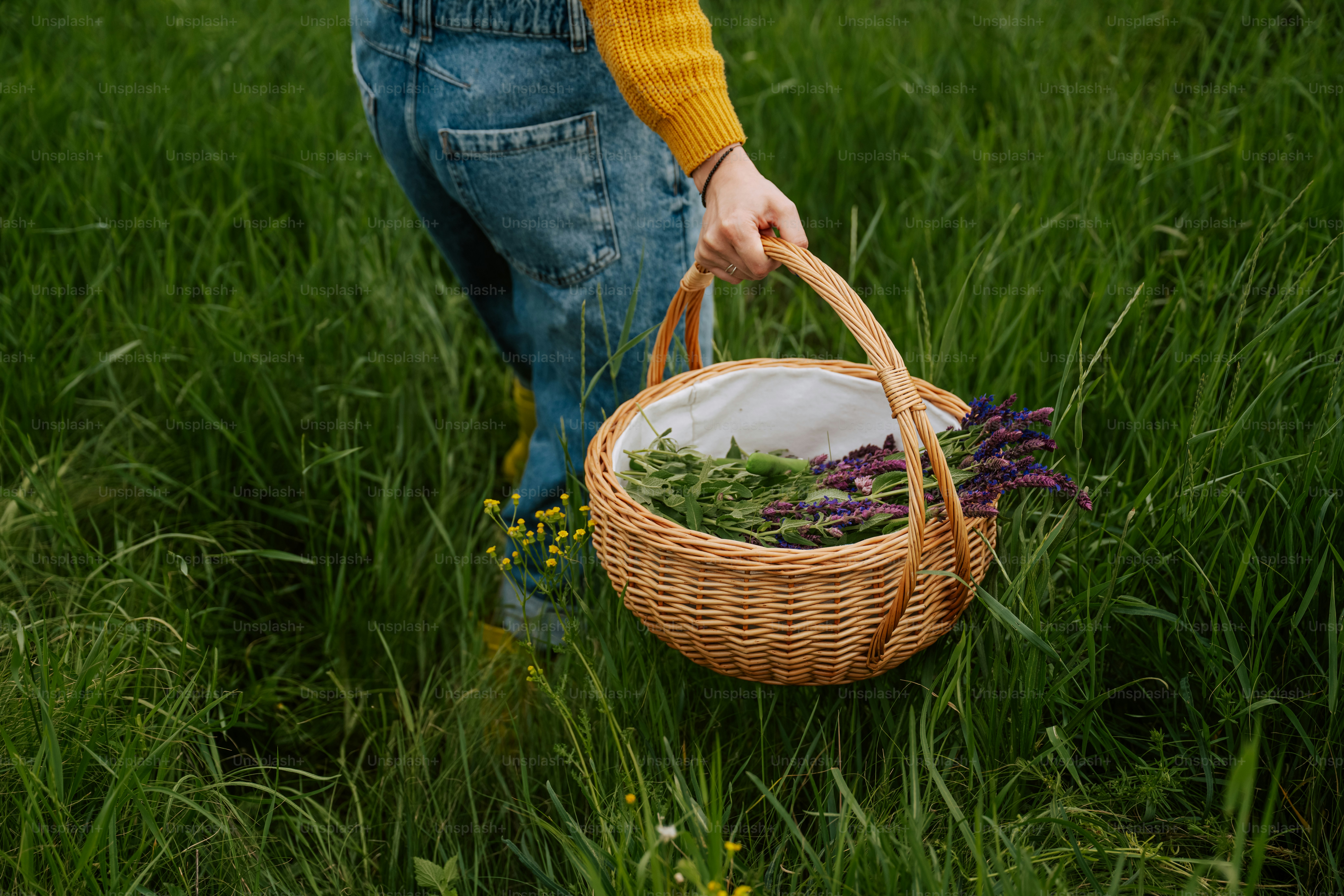 A person walks through grass, holding a basket of herbs.