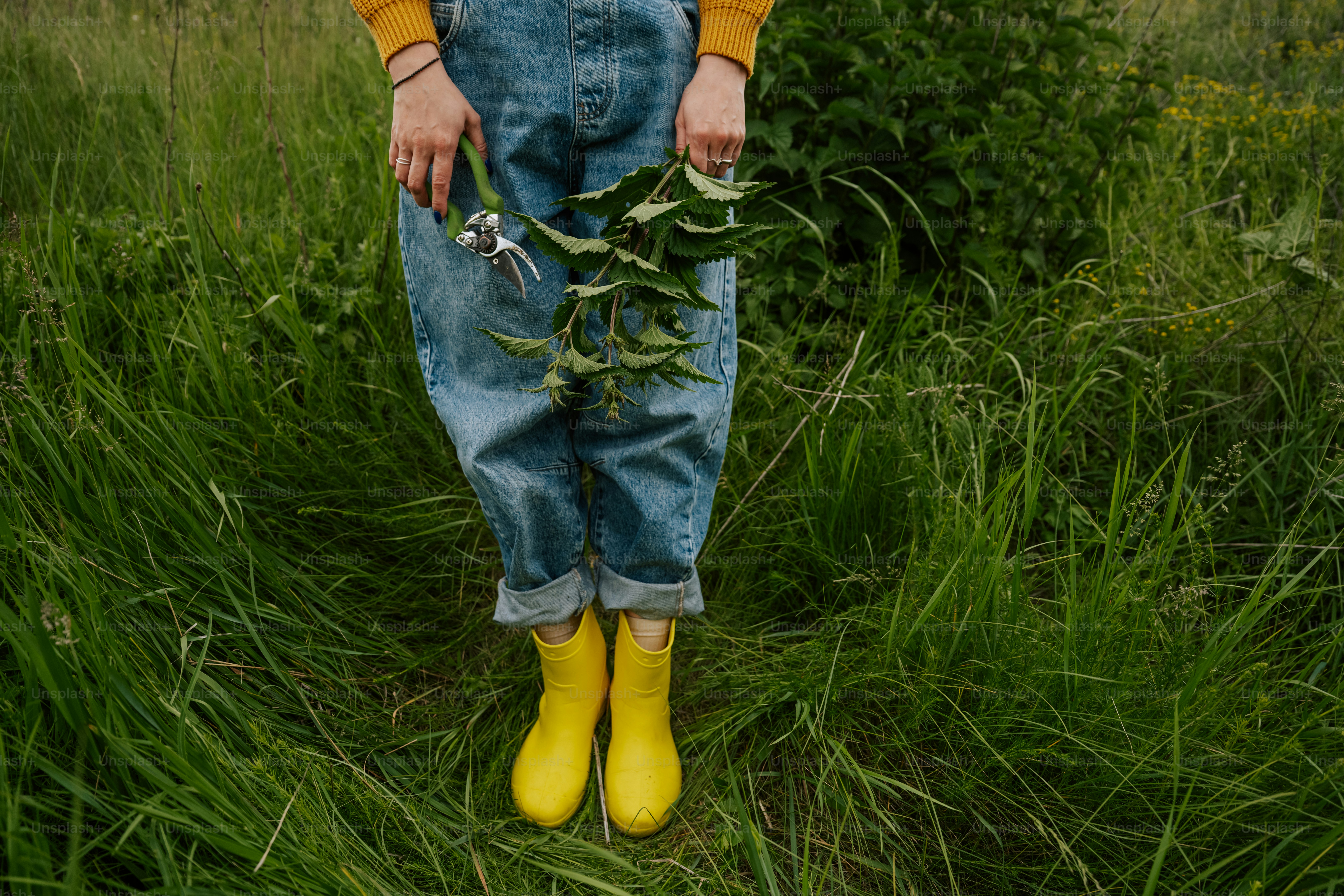 Person in yellow boots and overalls holding foliage in grass.