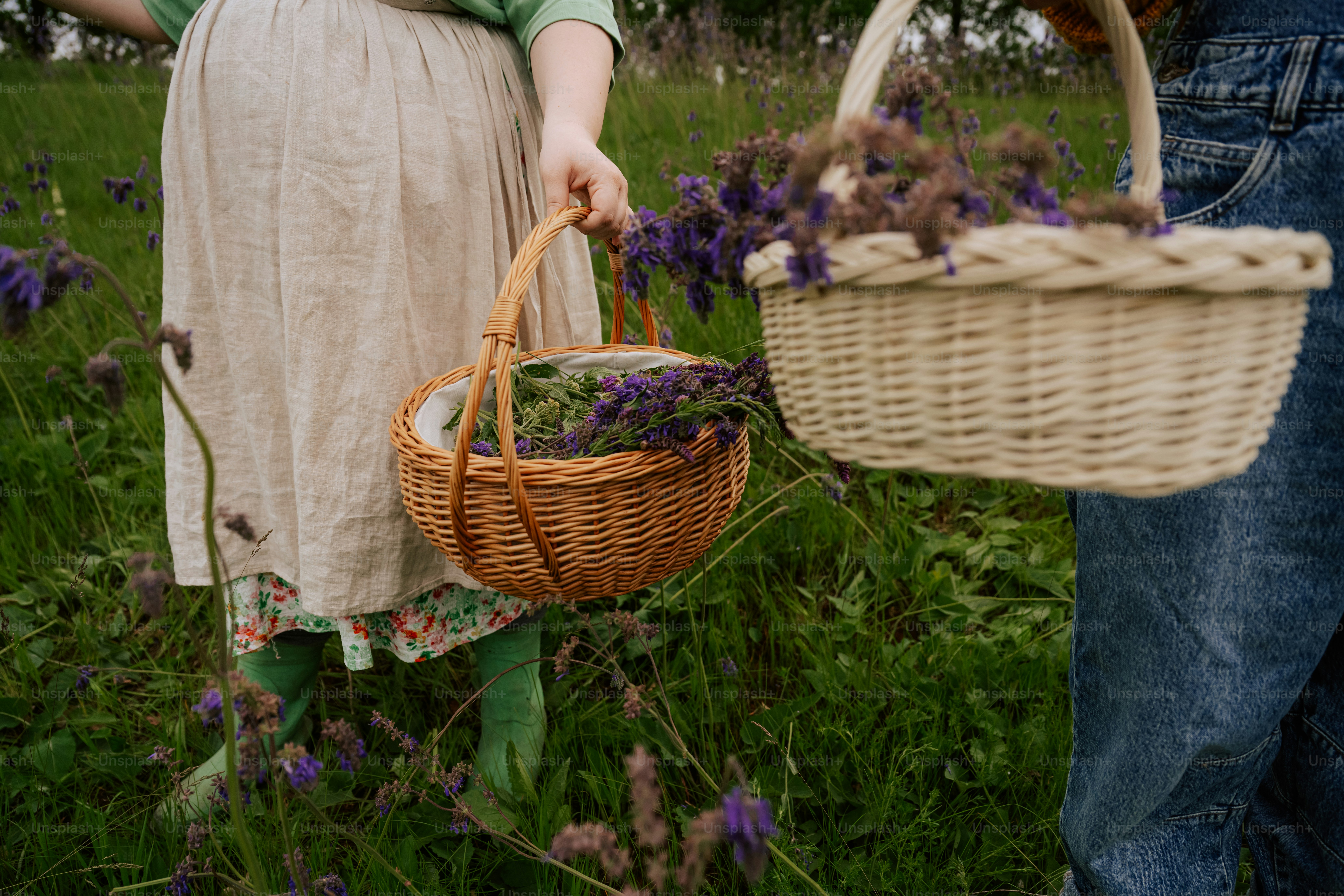 Two people holding baskets of purple flowers in a field.