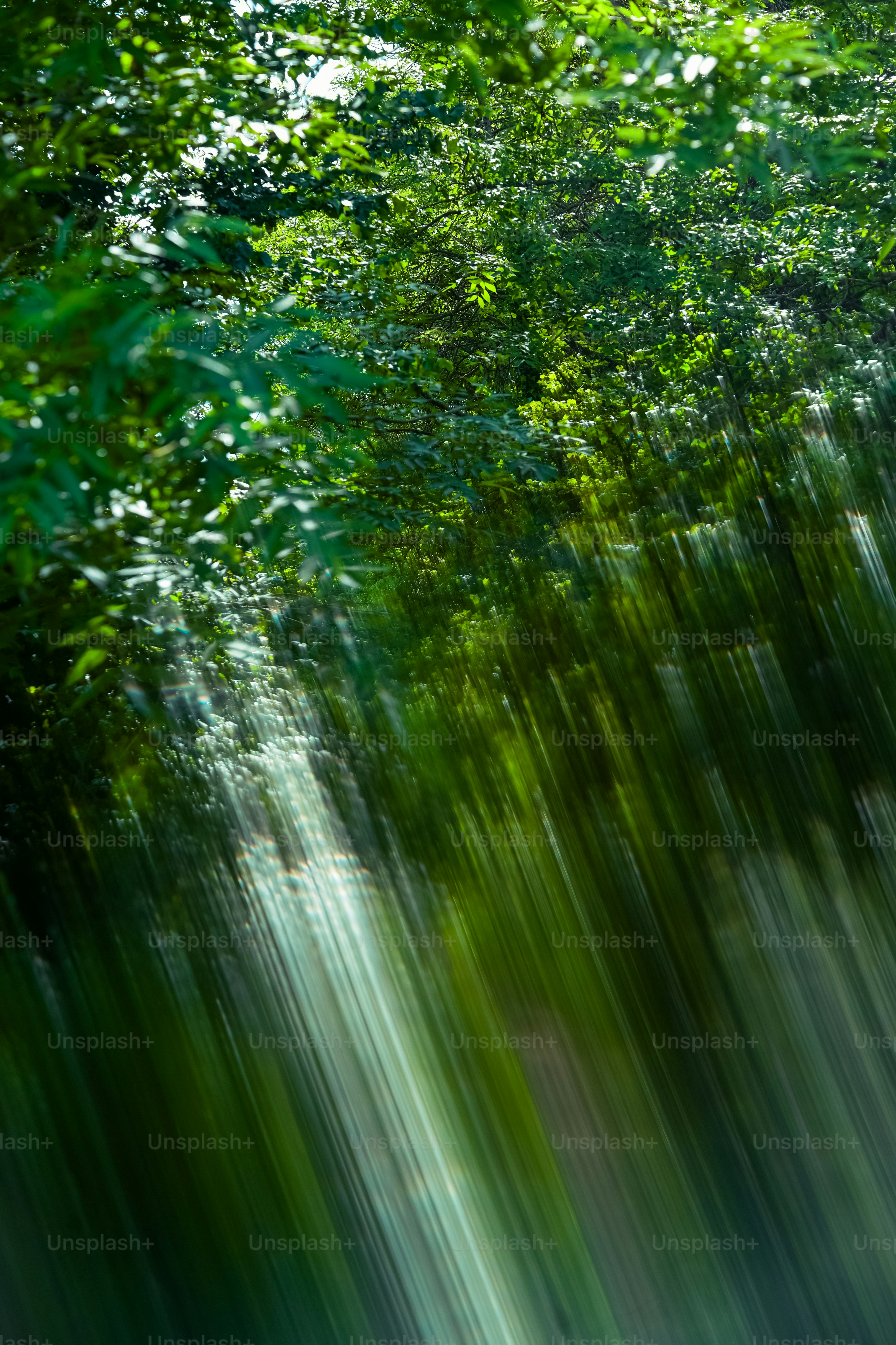 Abstract green foliage with vertical motion blur.