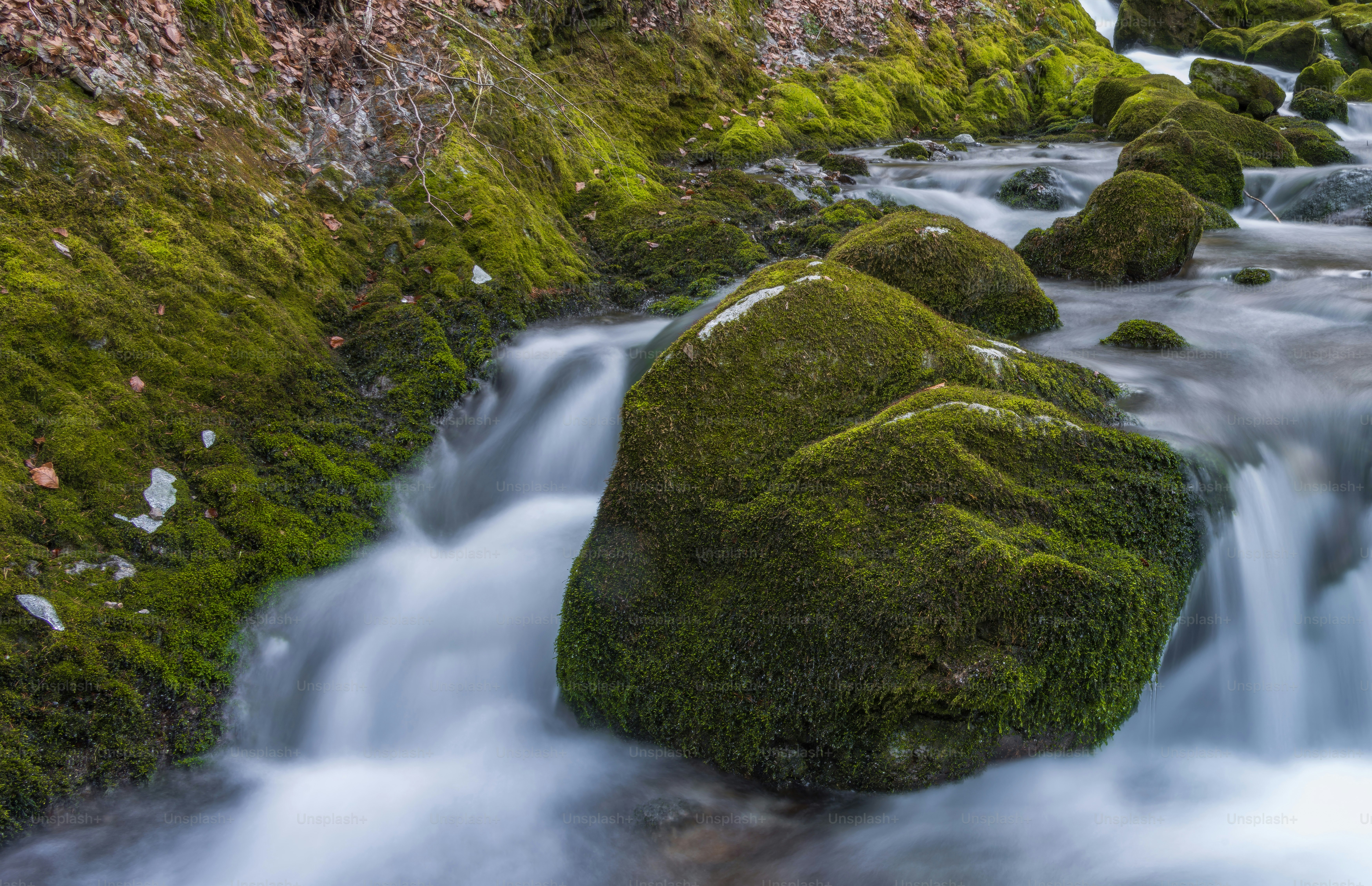Moss-covered rocks in a flowing stream with blurred water.