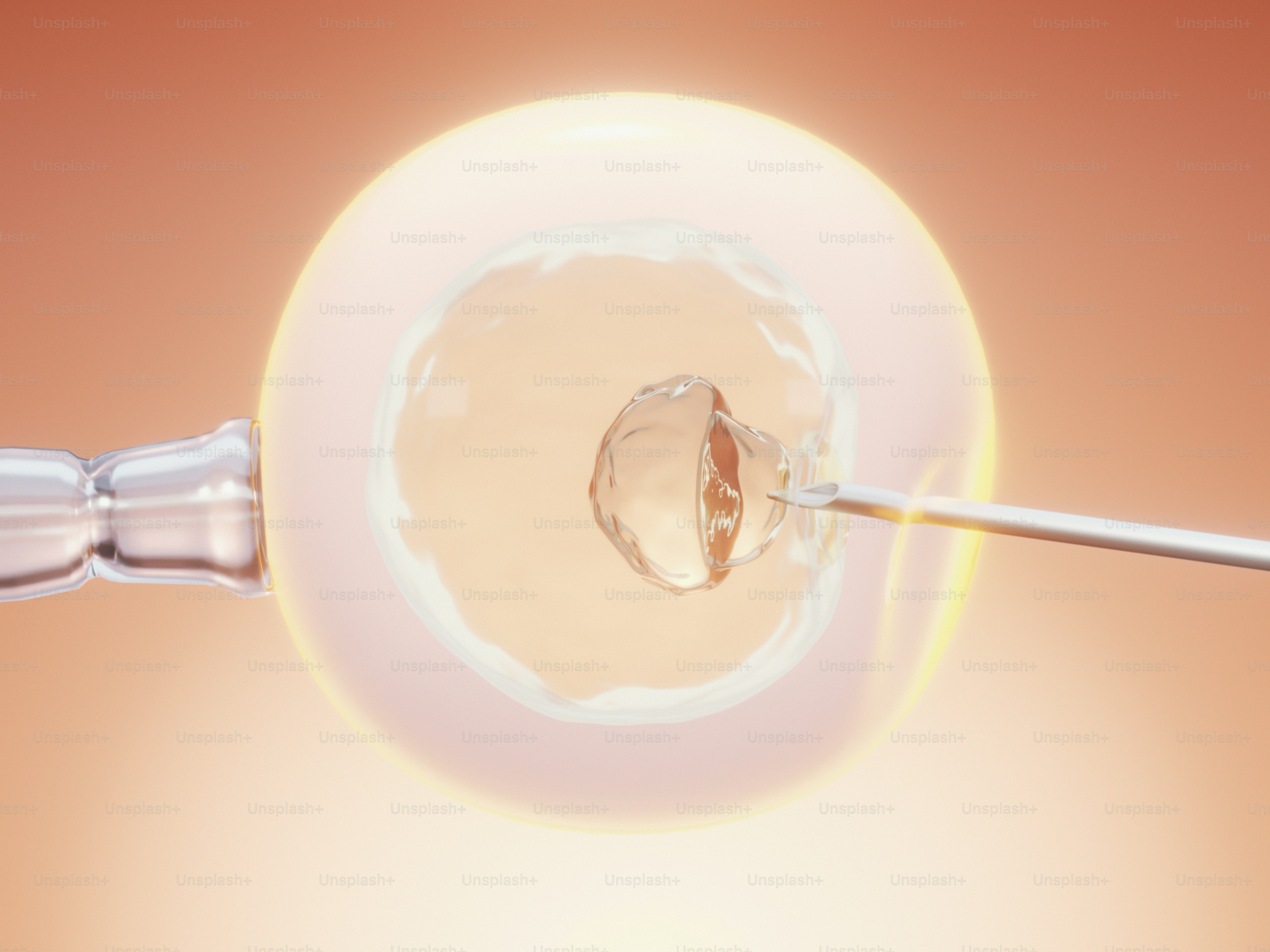 A needle performing microinjection on a cell. photo – Healthcare Image ...