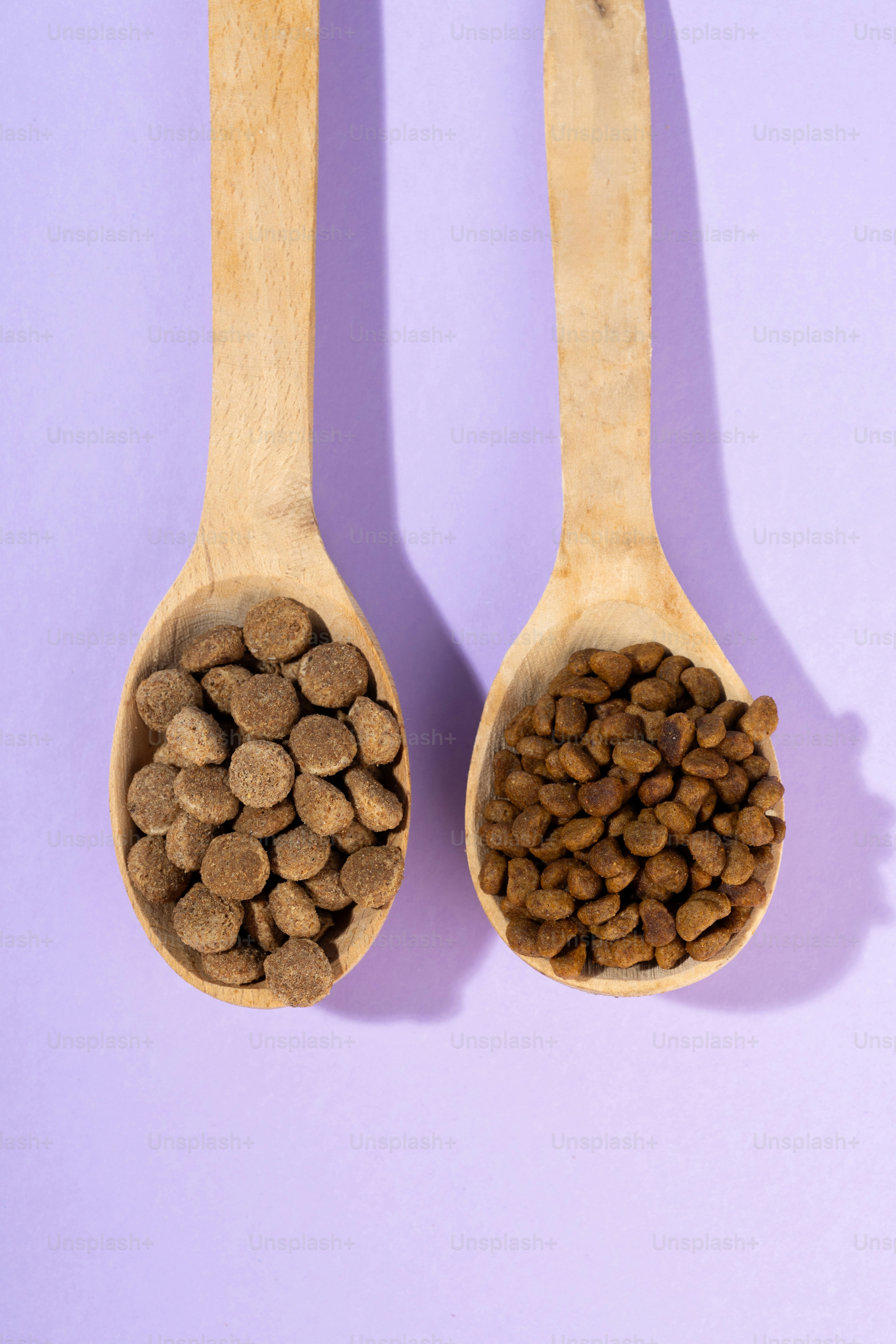 Comparing affordable freeze-dried meals using ingredient labels and nutrition facts