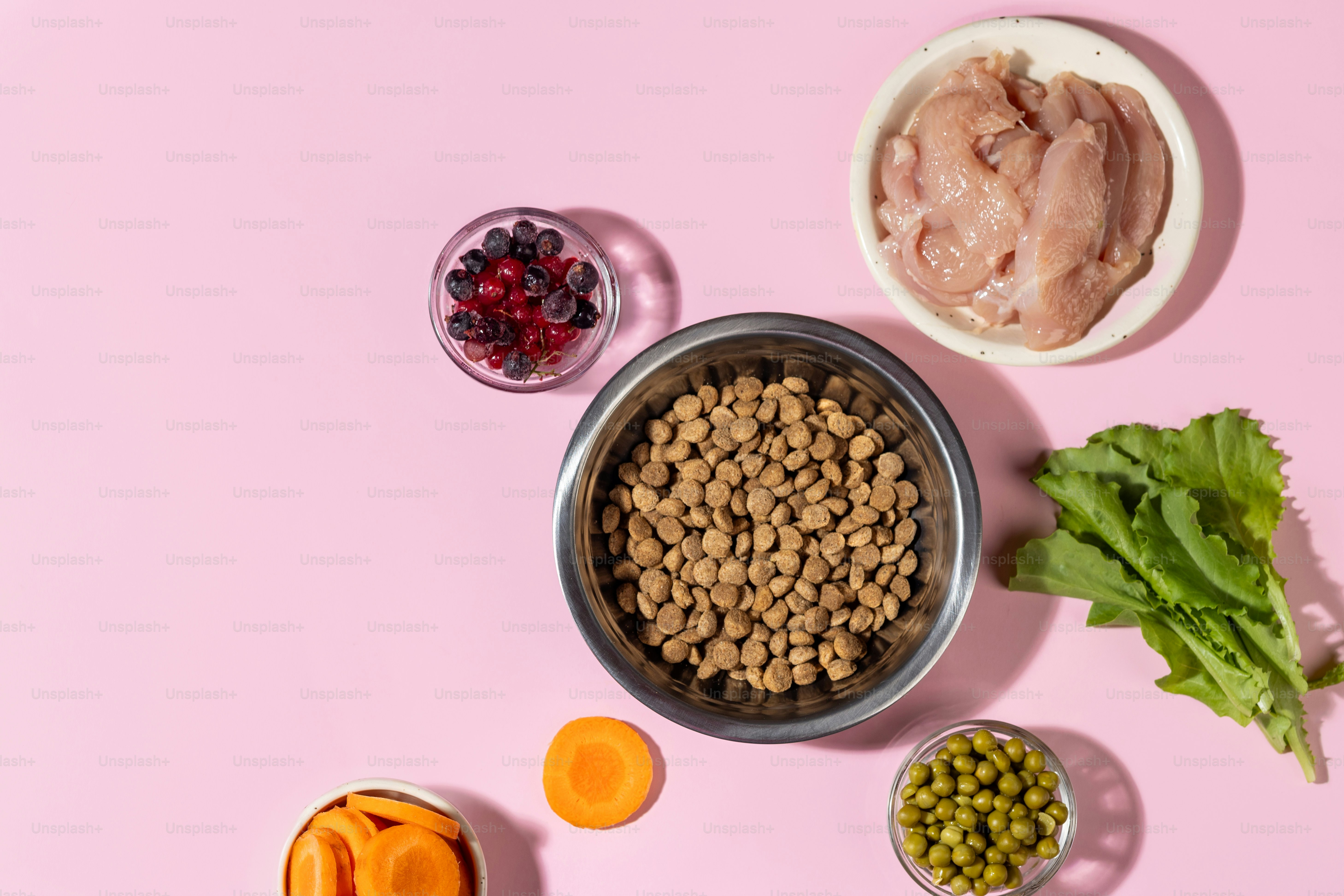 Comparison of raw dog food supplements and whole food ingredients