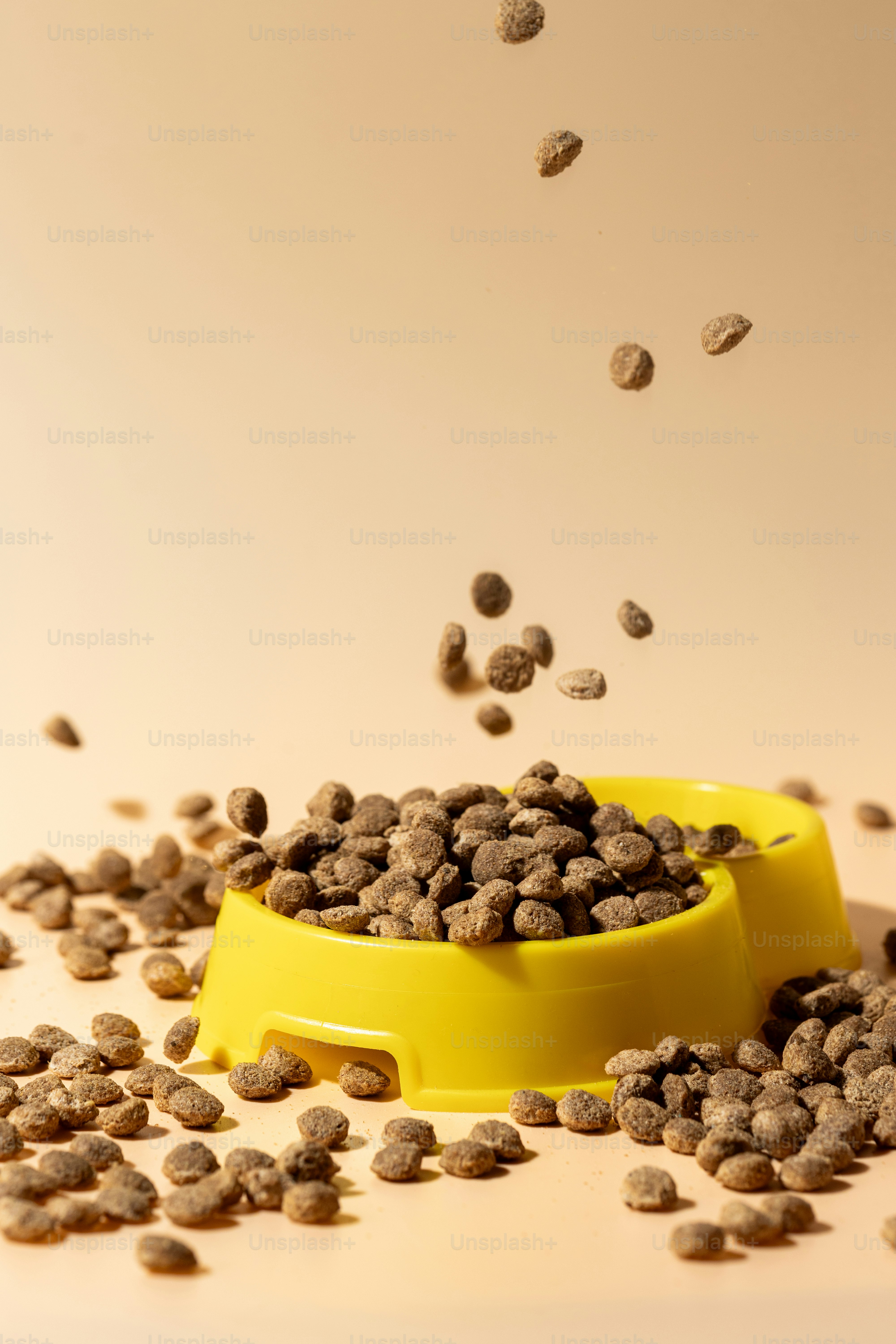 Comparing allergy-friendly Poodle diets and sensitive stomach poodle food options