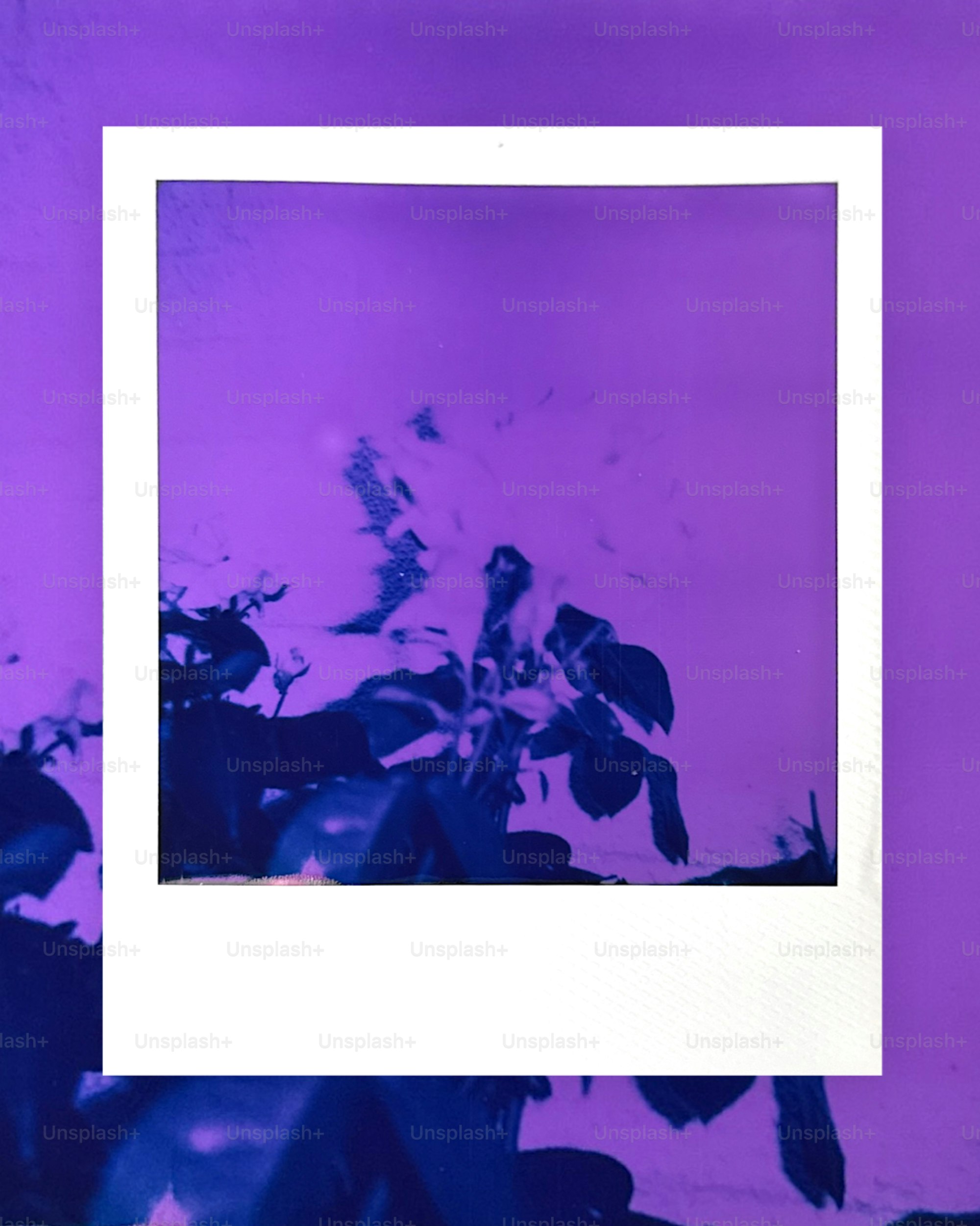 White instant photo with abstract purple and blue image.