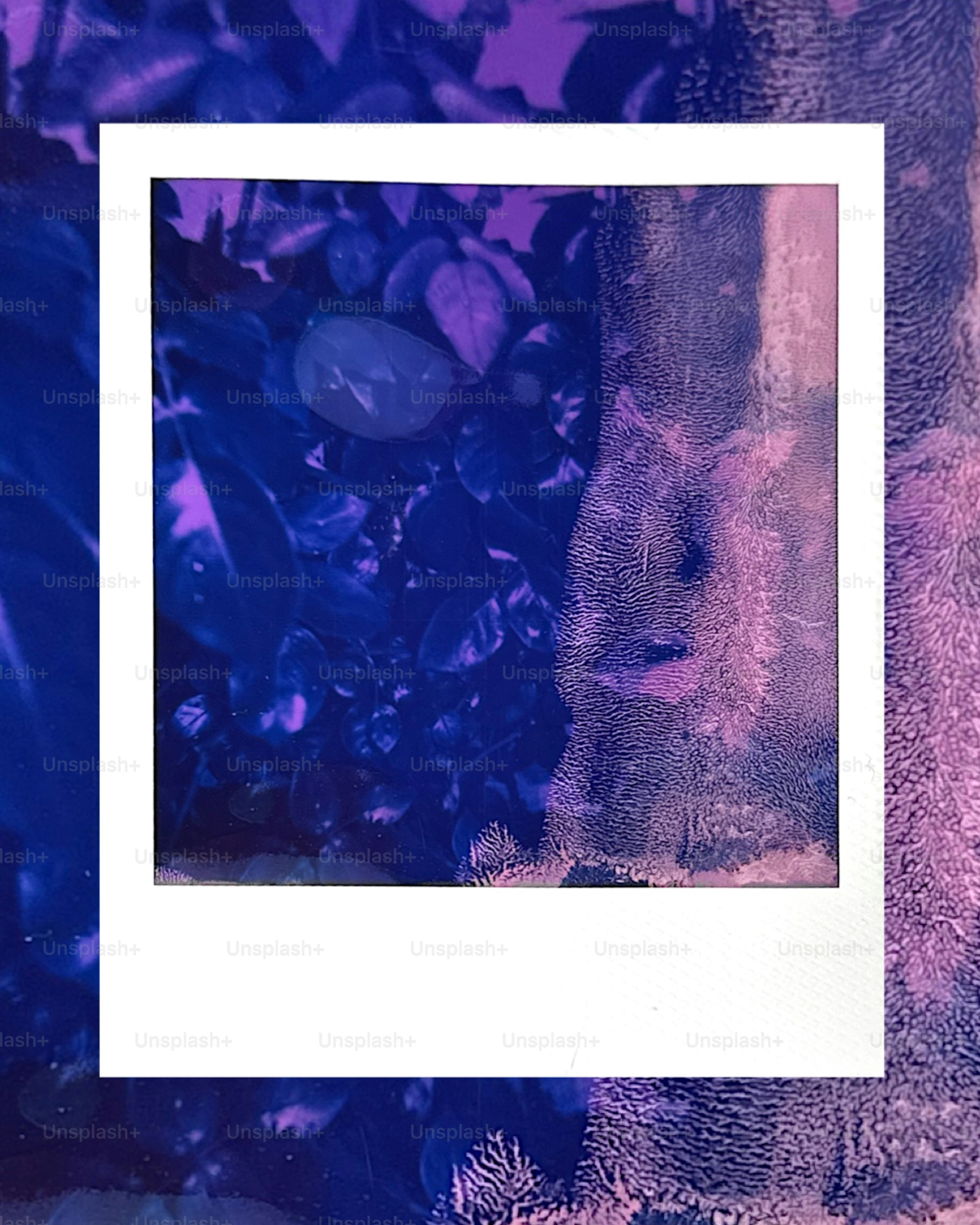 Polaroid frame with abstract blue and purple textured image.