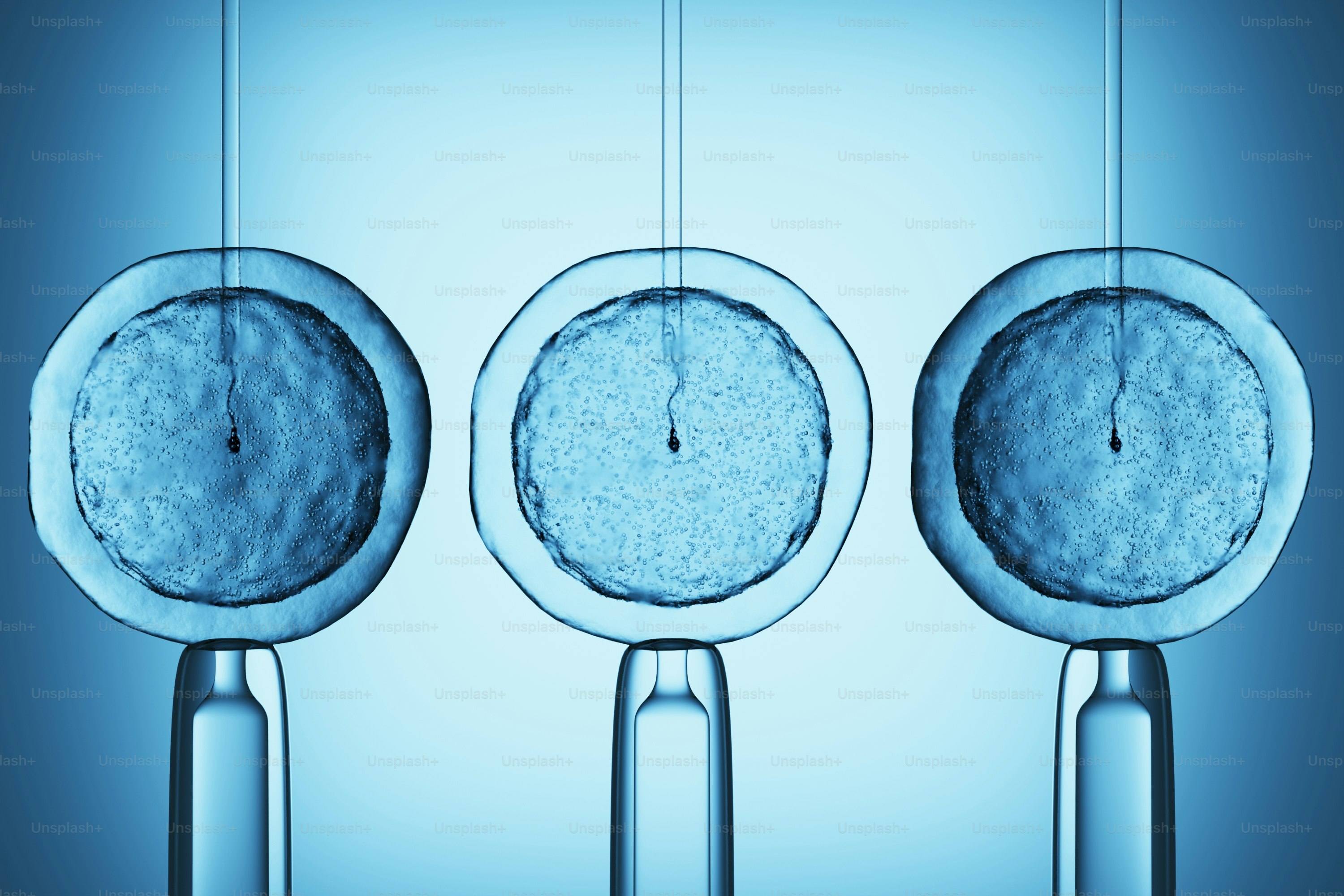 Injeksi mikro ke dalam tiga sel untuk fertilisasi in vitro.