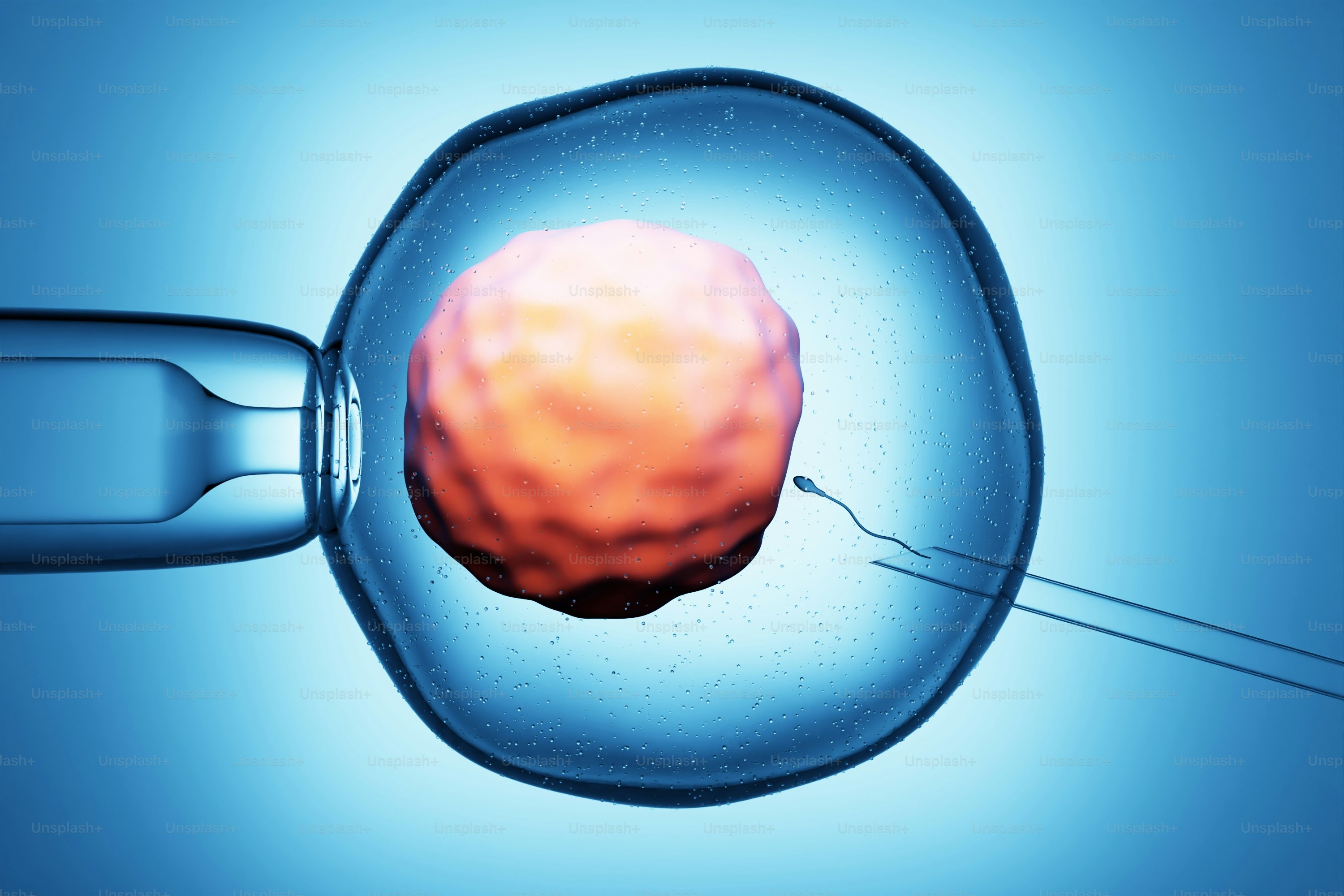 Injeksi mikro ivf sel telur.