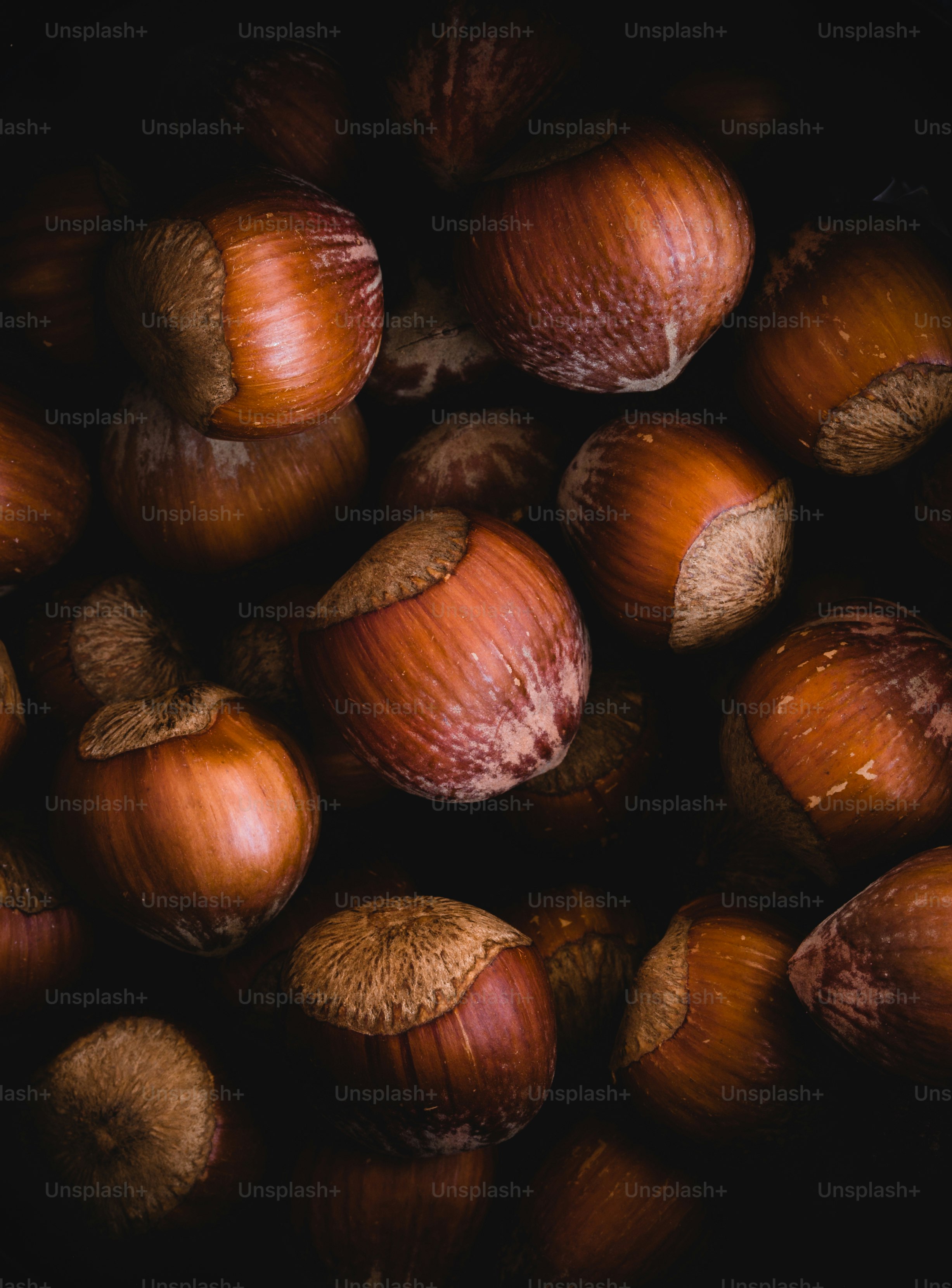 Des noisettes entières avec des coquilles dans un éclairage sombre et sombre.
