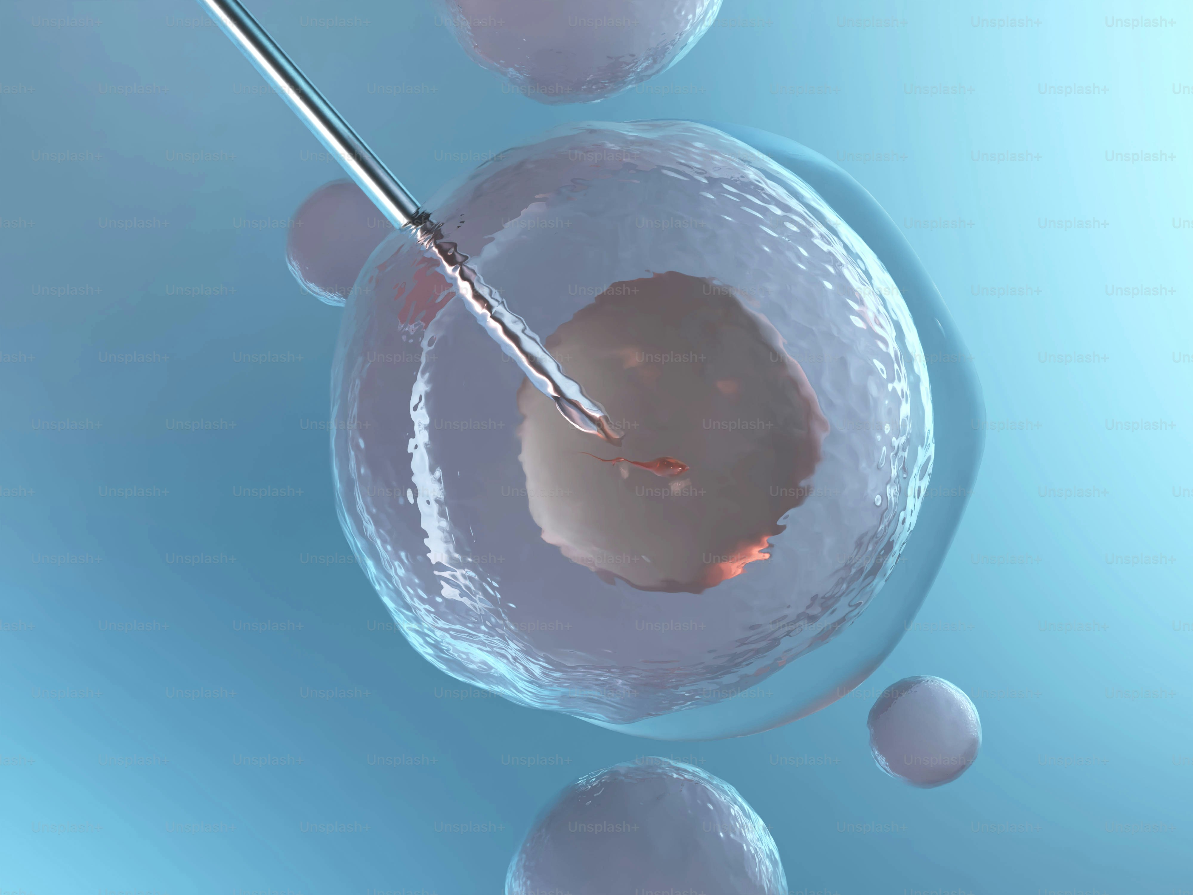 Microscopic needle injecting into a cell.