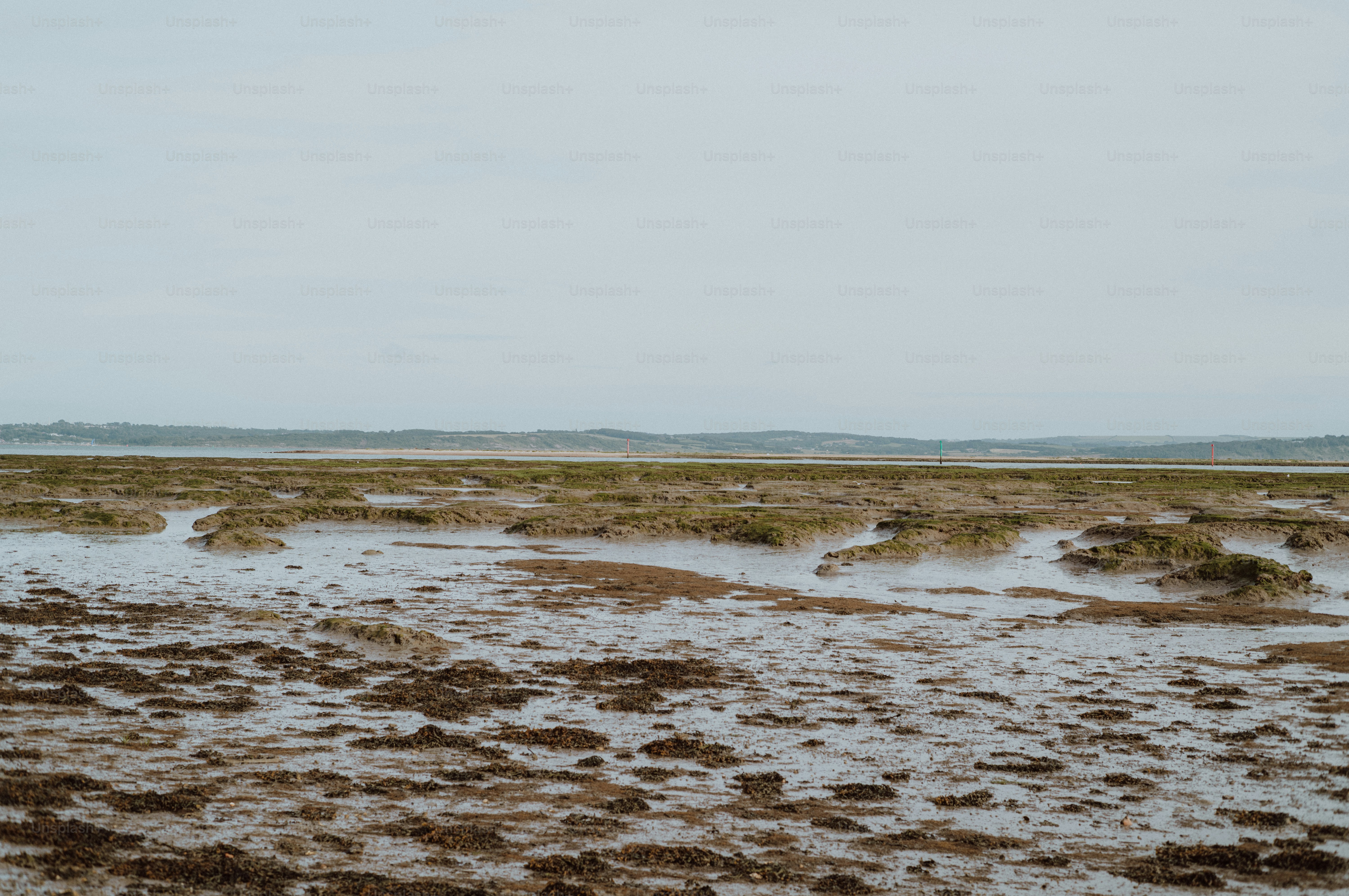 Expansive wet marshland under a grey, overcast sky.