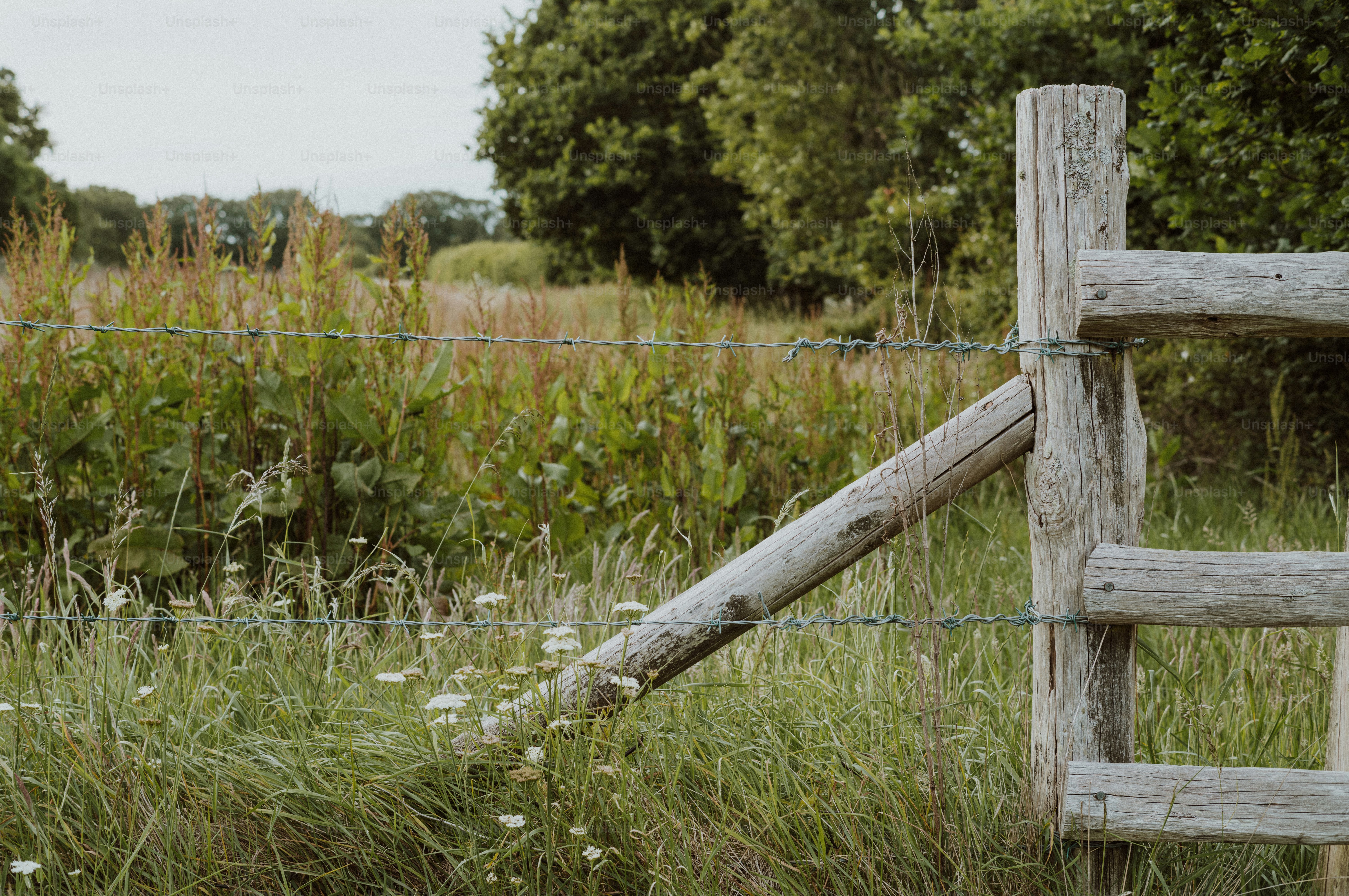 A rustic wooden fence post in a grassy field.