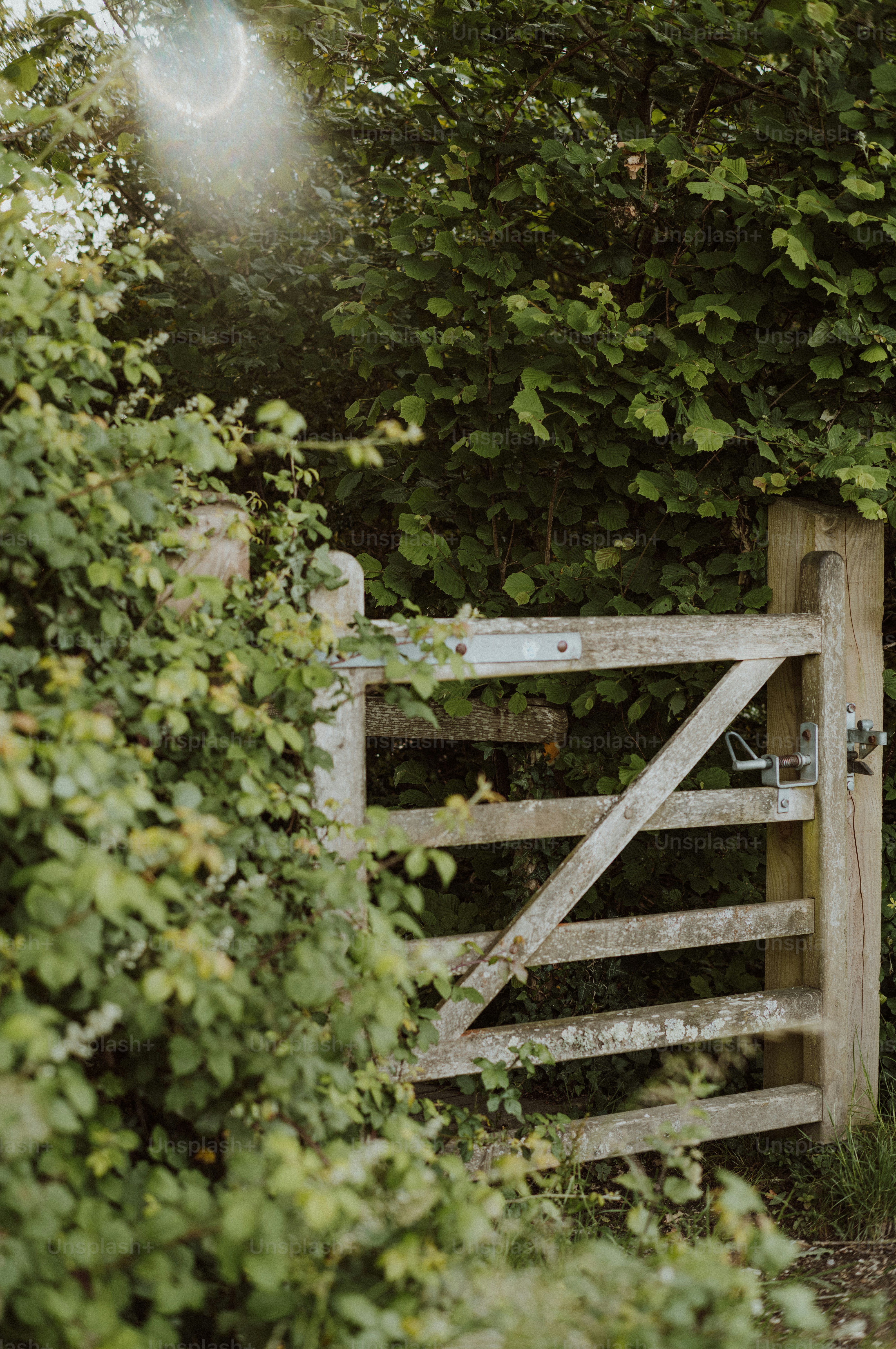 A rustic wooden gate surrounded by lush green foliage.