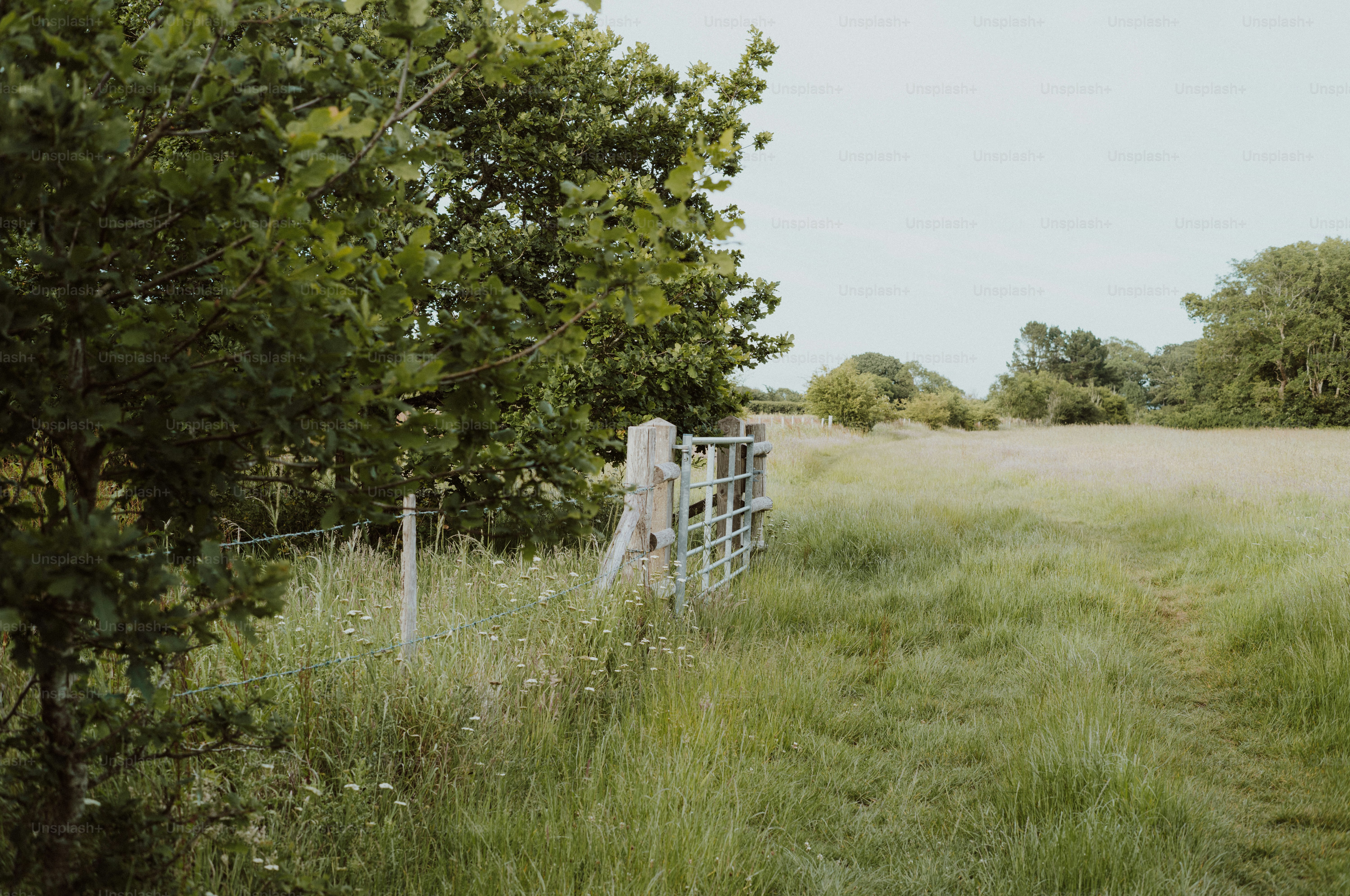 An old metal gate in a lush green field.