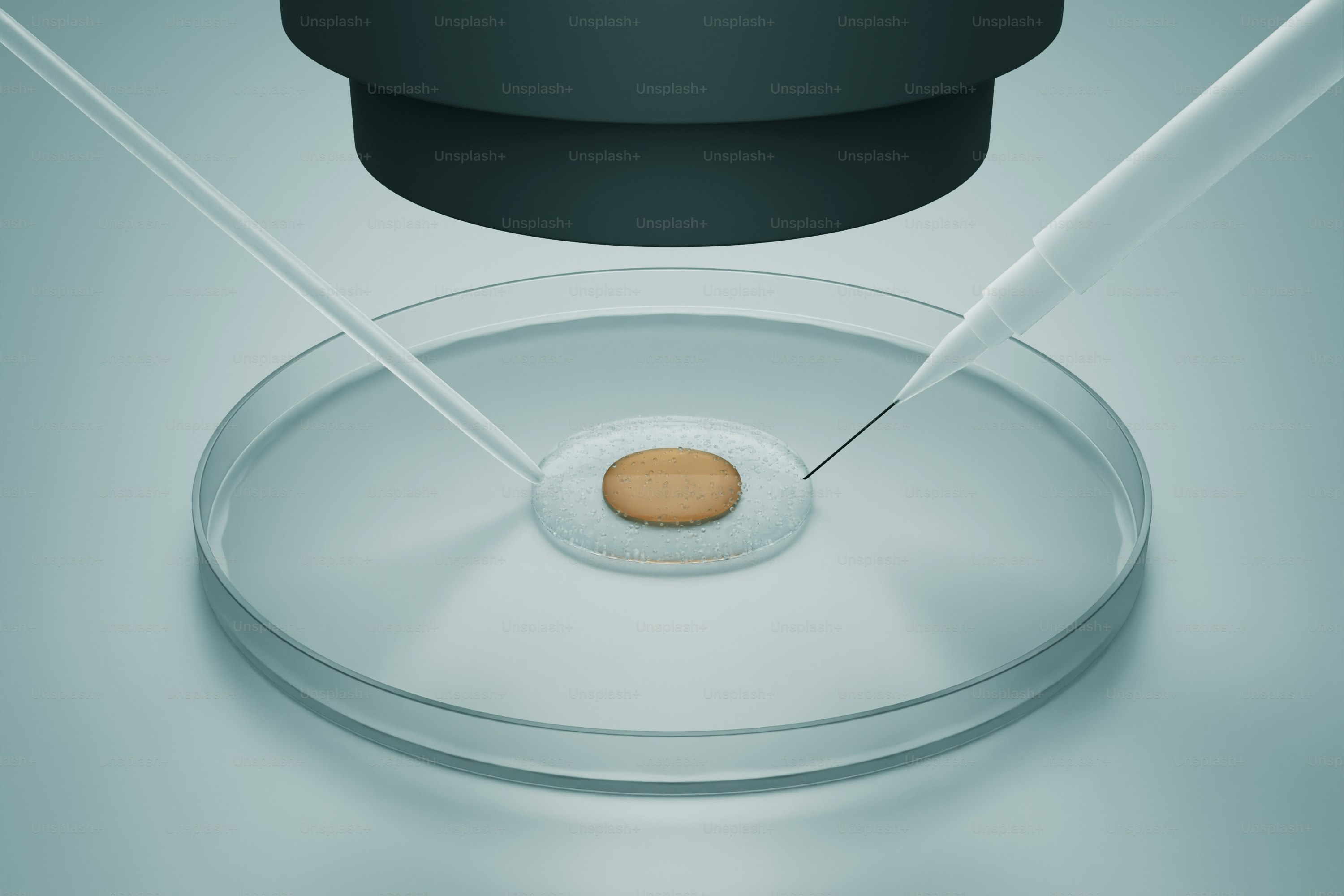 Laboratory research: sample manipulation under a microscope.