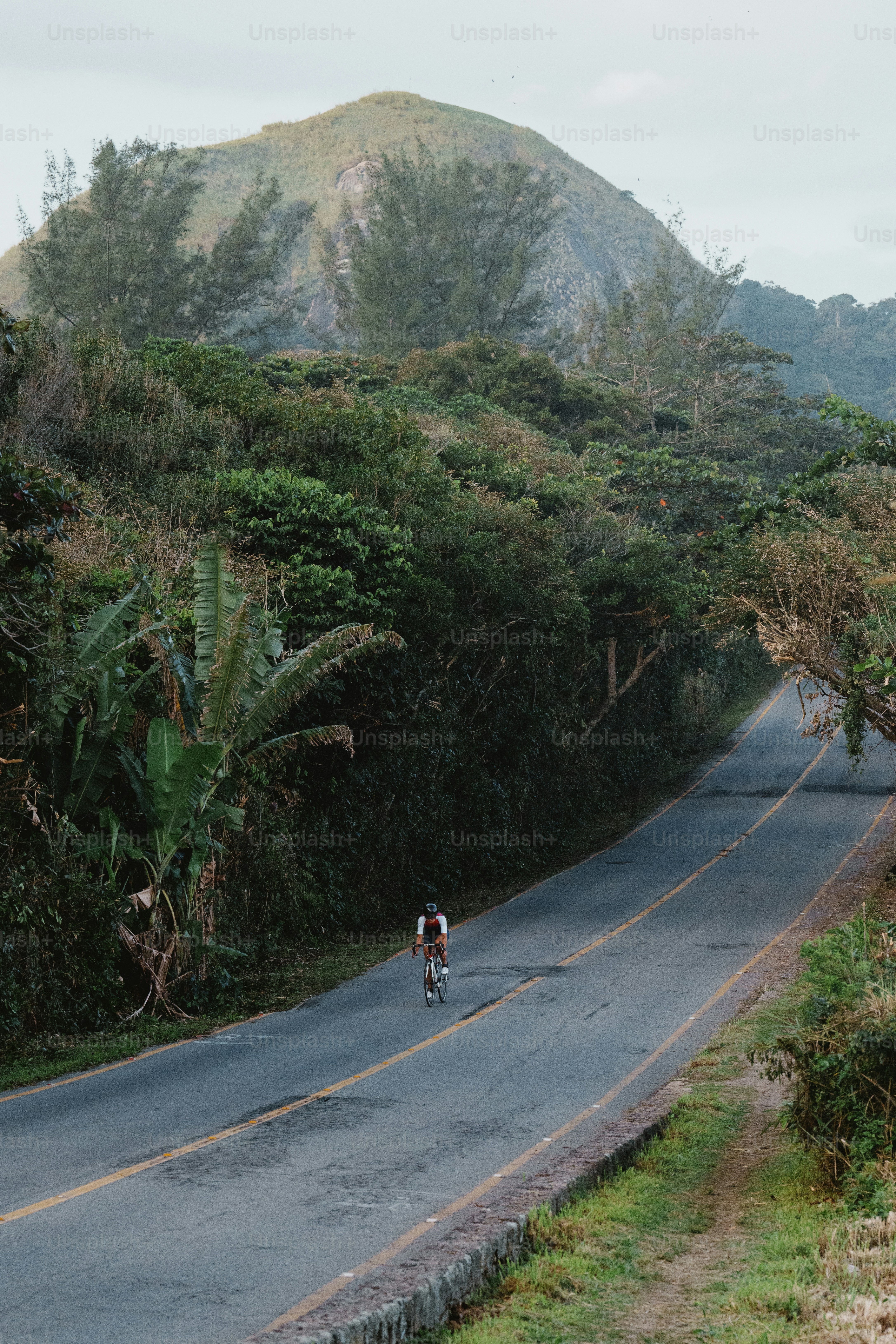 Cyclist rides winding road through green trees.