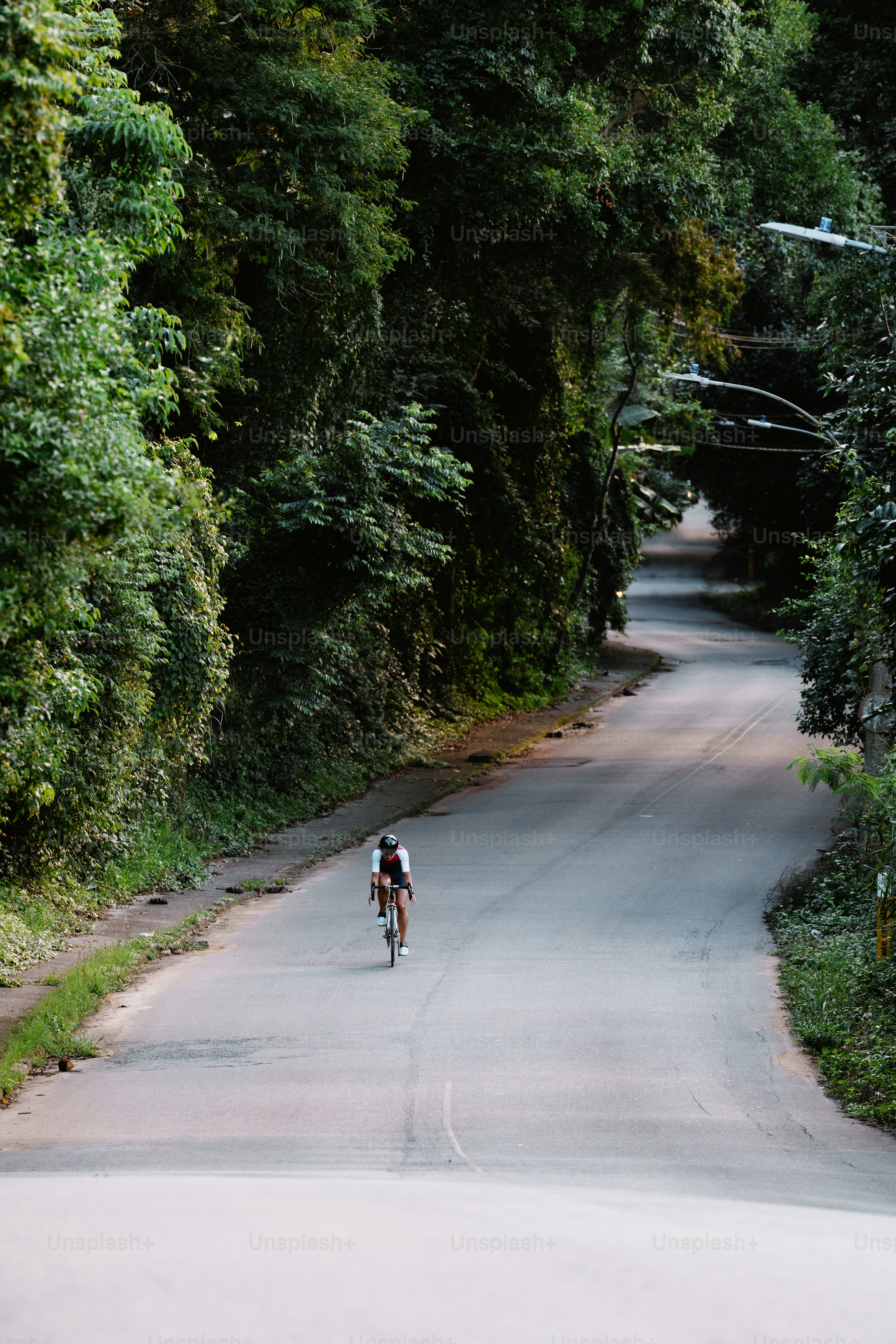Cyclist rides winding road through lush green forest
