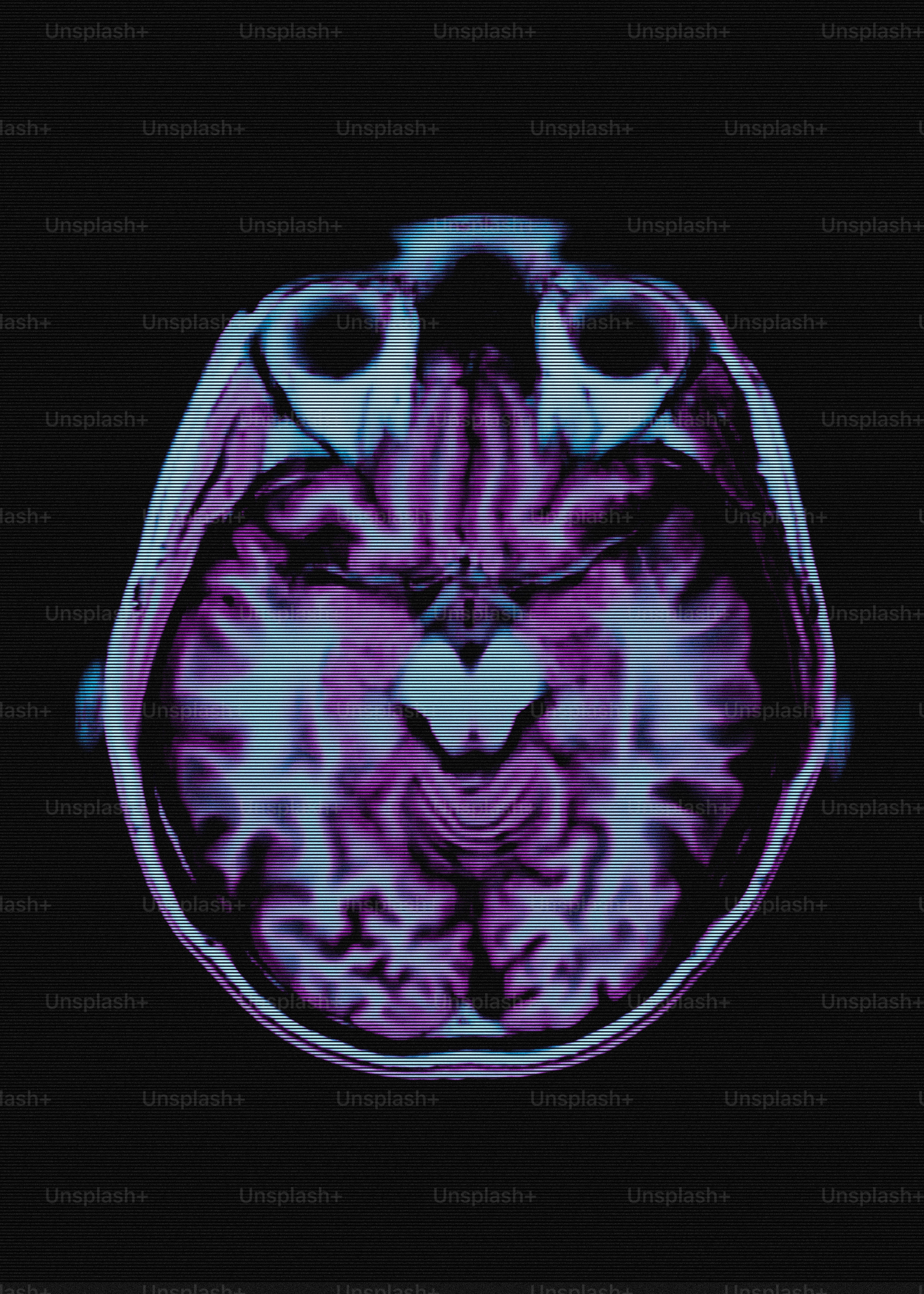 A colorful mri scan of a human brain. photo – Health Image on Unsplash