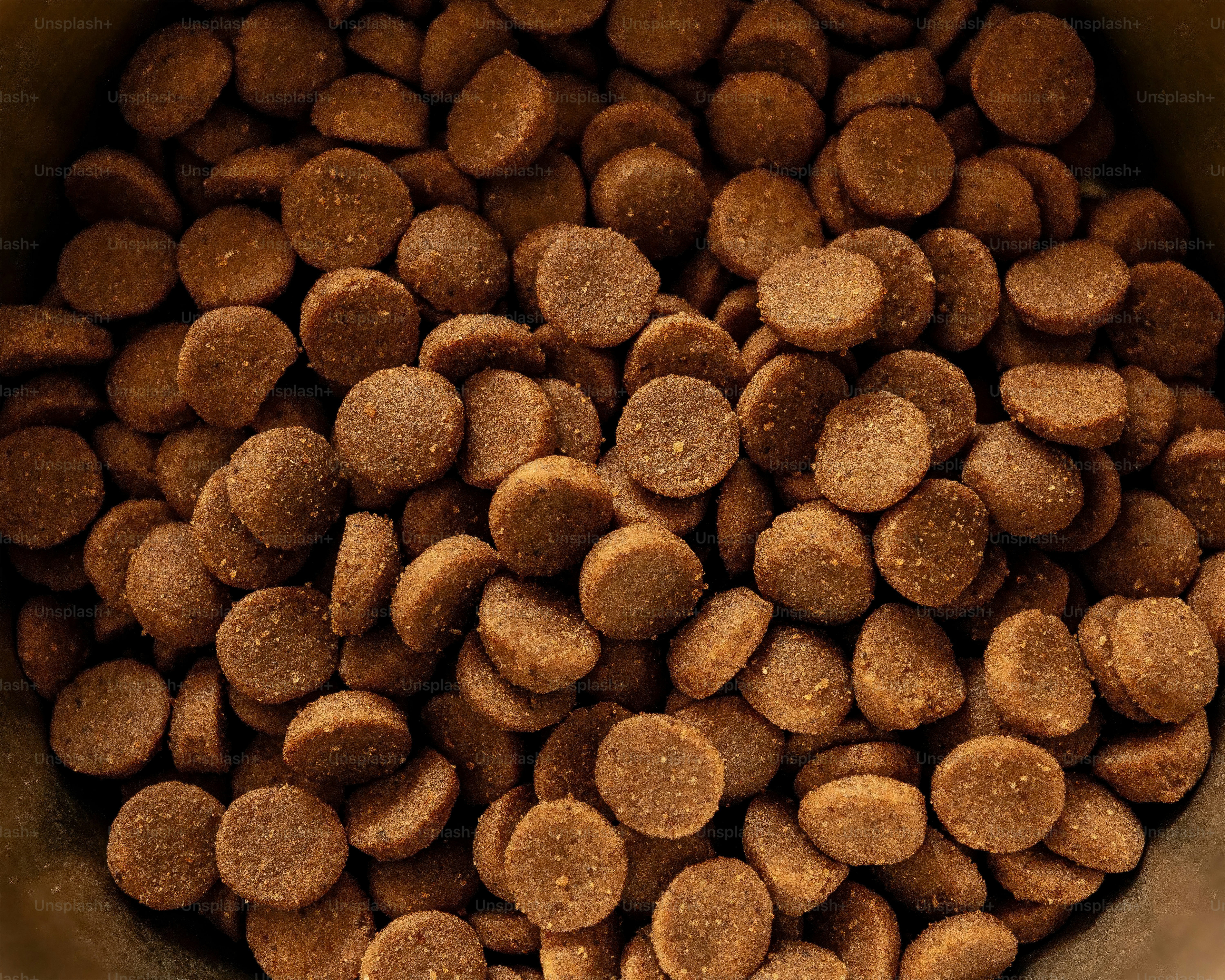 Numerous brown, round pet food pieces.