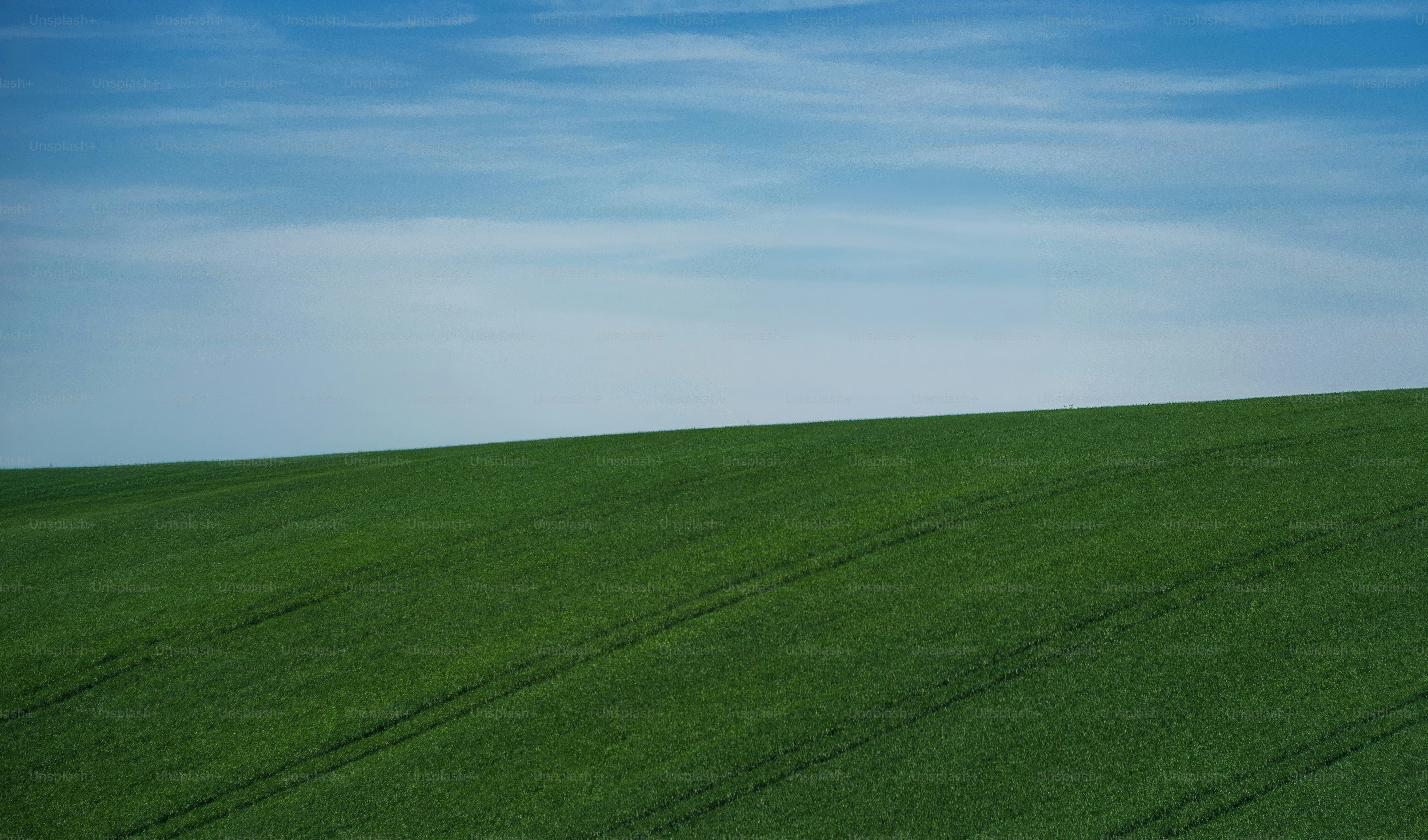 A vast green field stretches under a clear blue sky.