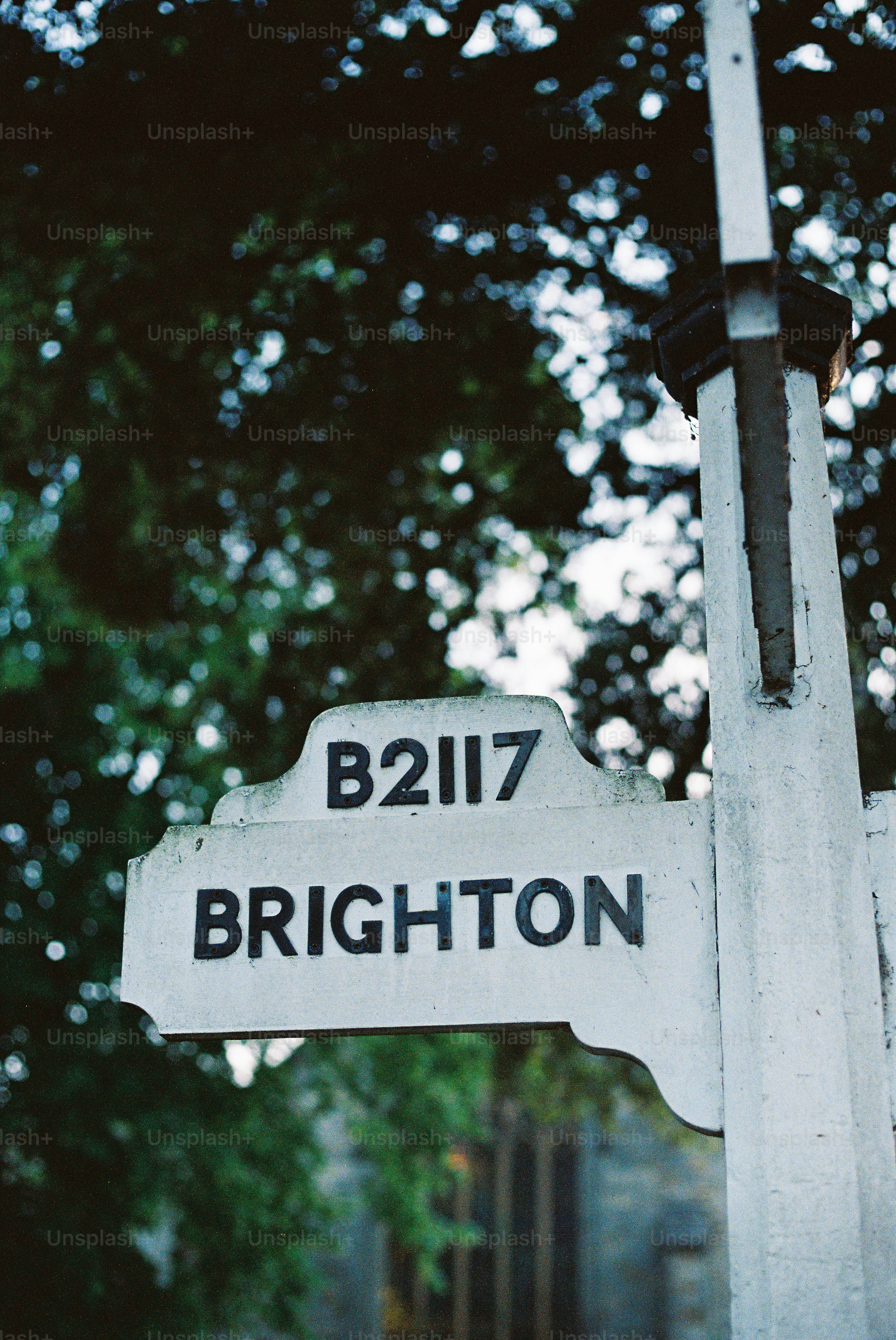 A white signpost pointing towards b2117 brighton