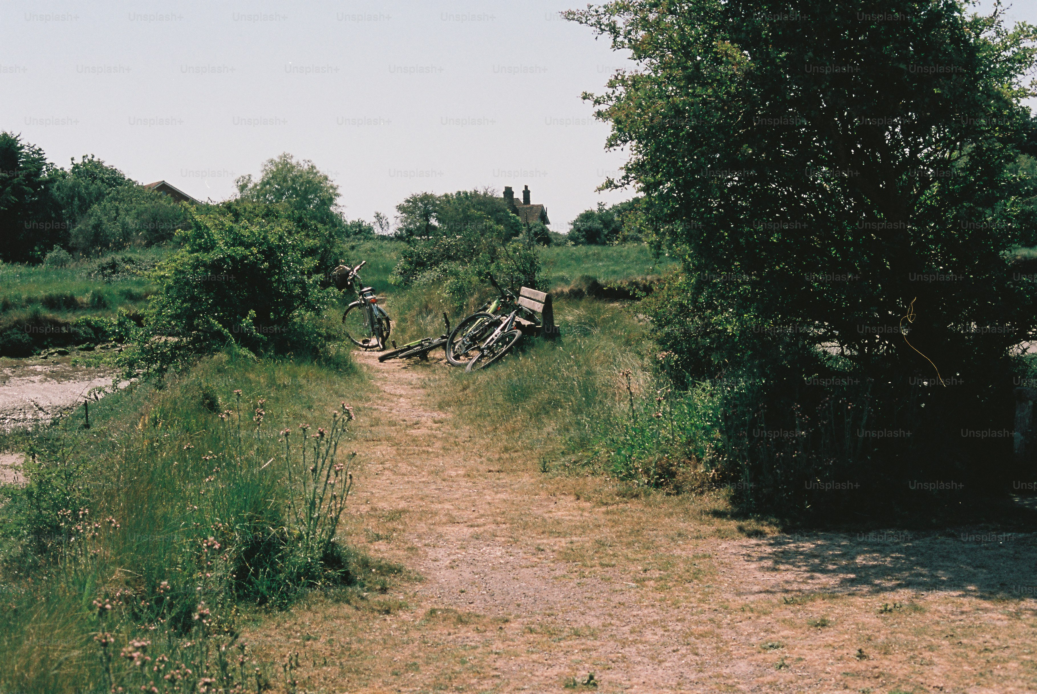 A dirt path leads through green fields towards distant buildings.