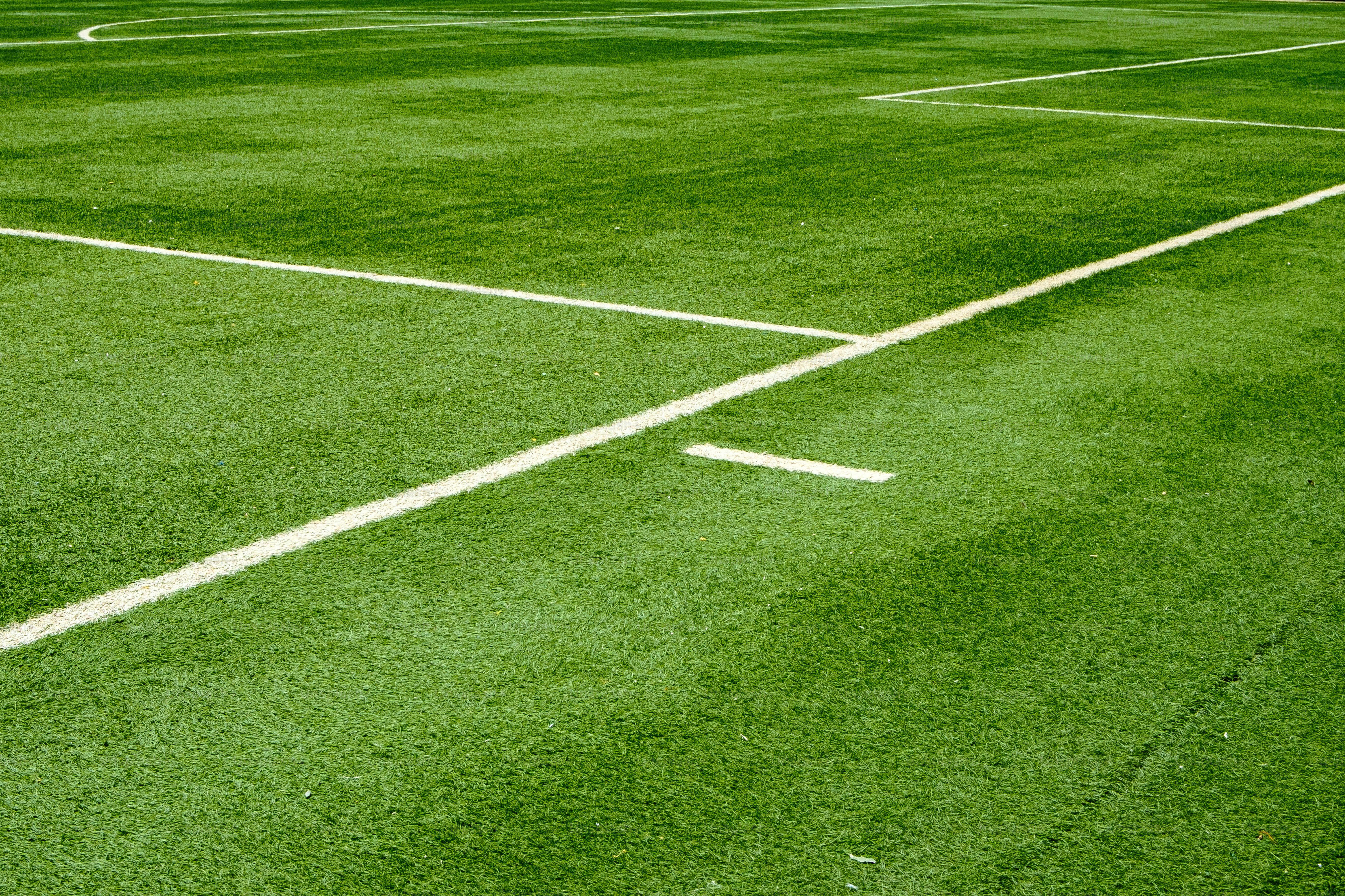 Green sports field with white marking lines.