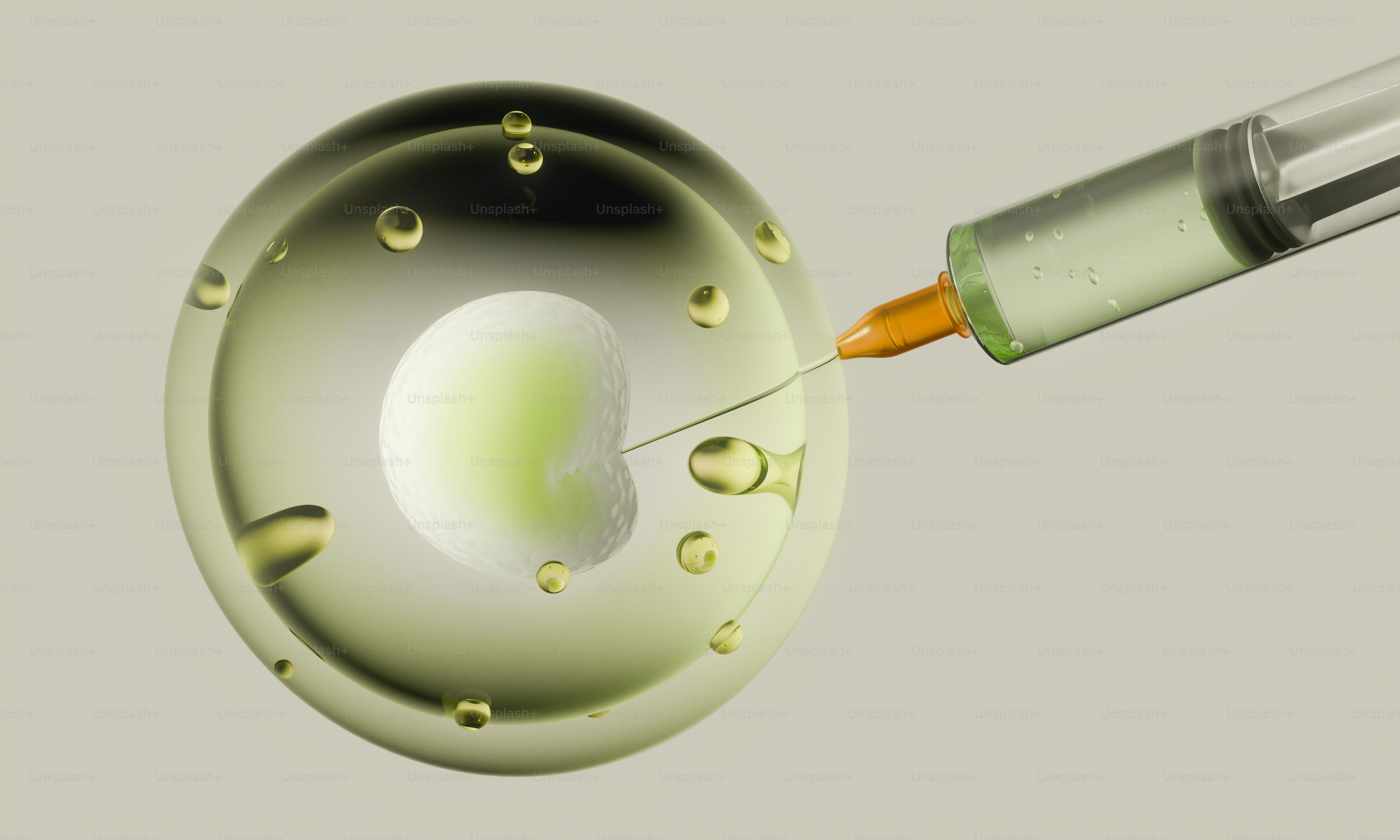 A syringe injects liquid into a cell or embryo.