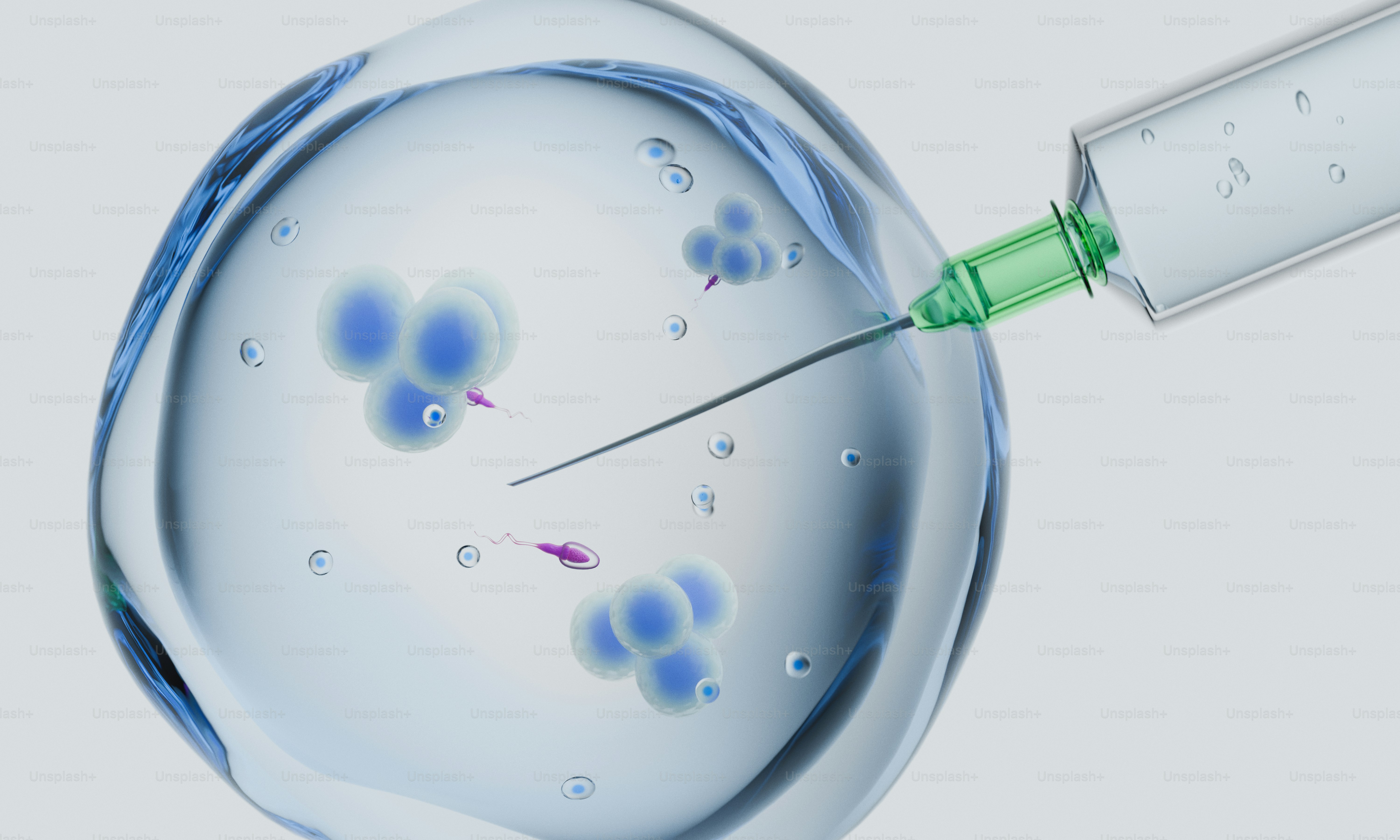 Micro-injection into a cell containing sperm and cellular structures.