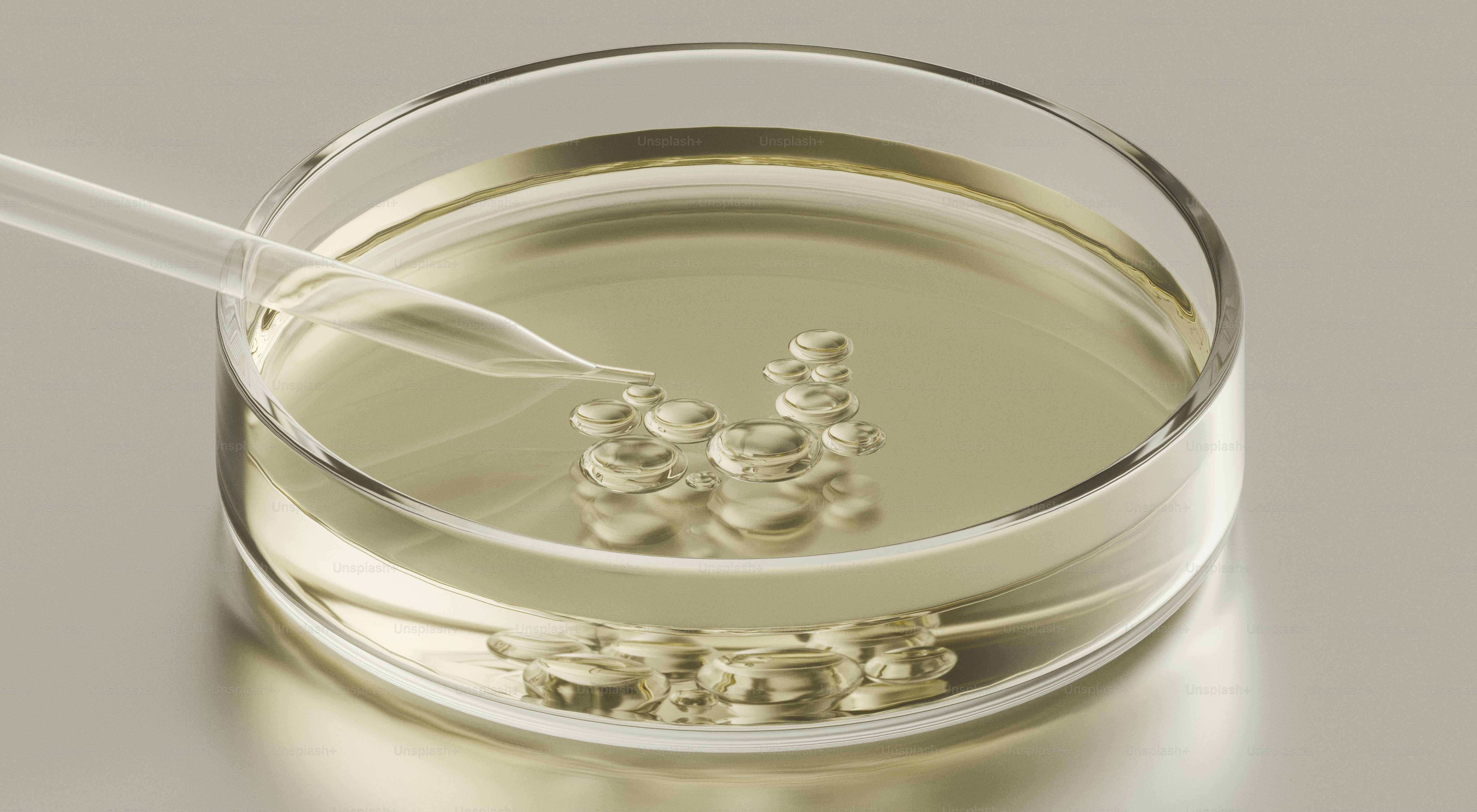Golden spheres in a petri dish with a pipette