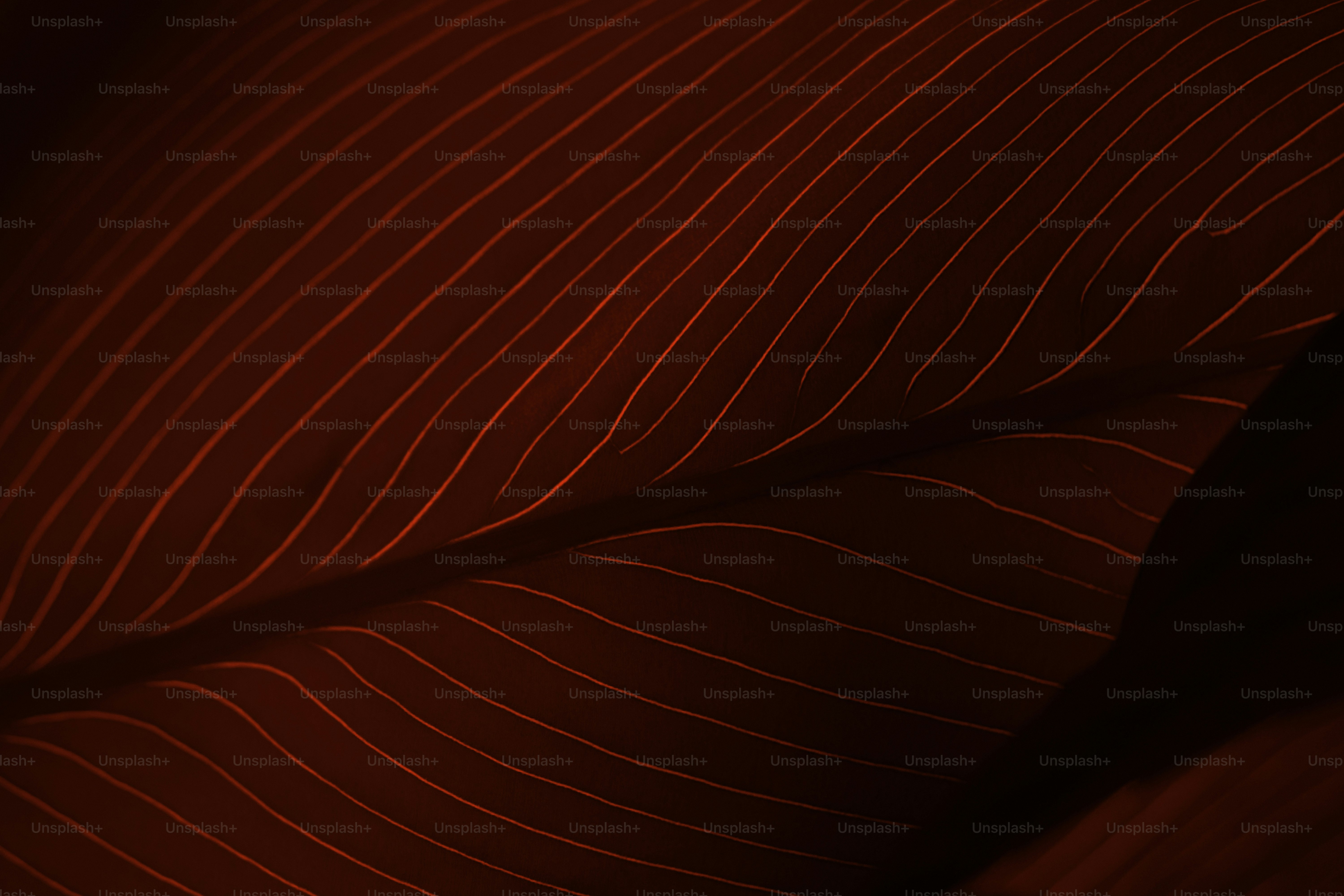 Dark red surface featuring glowing wavy parallel lines.