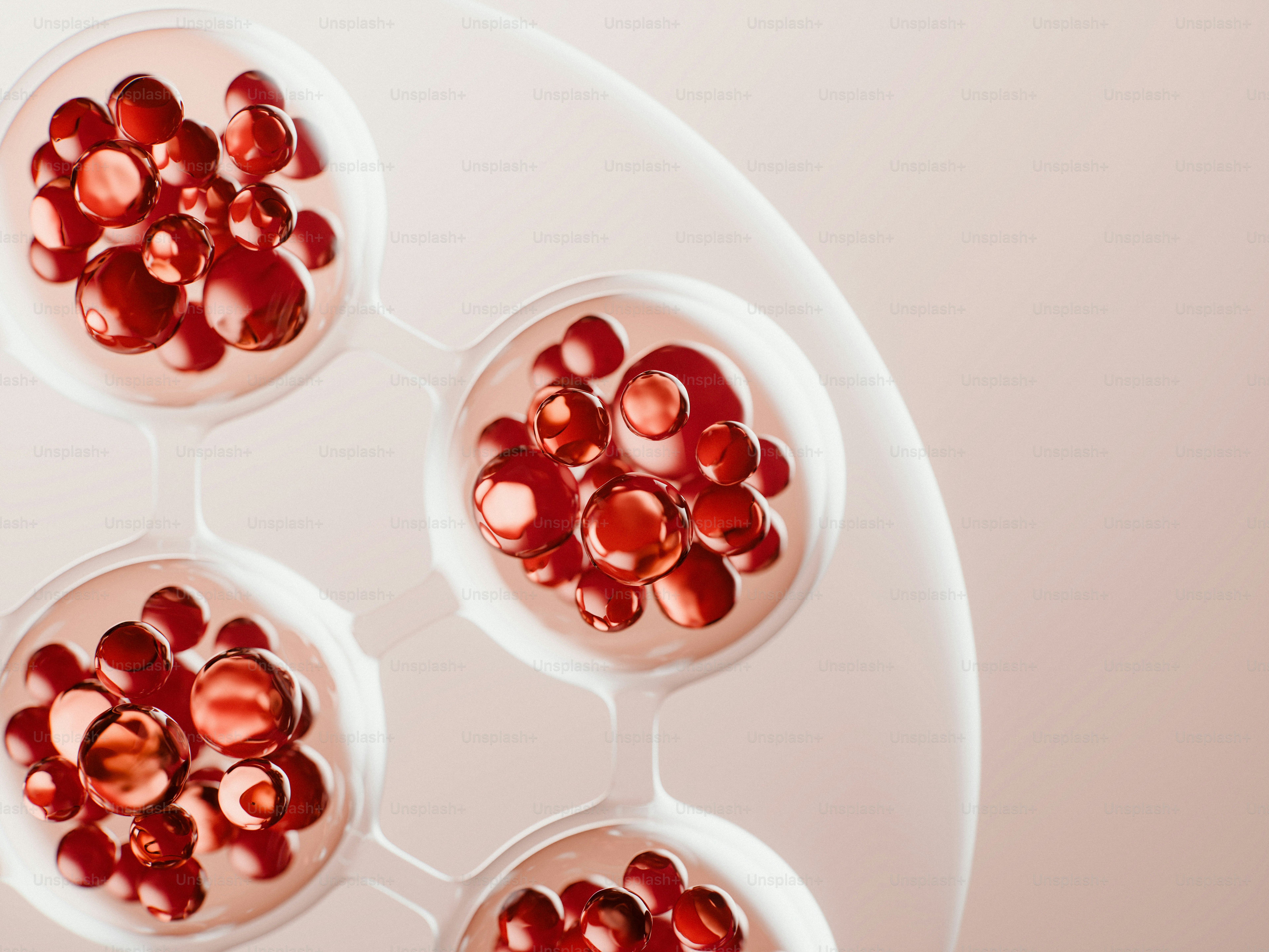 Red translucent beads in connected circular containers.