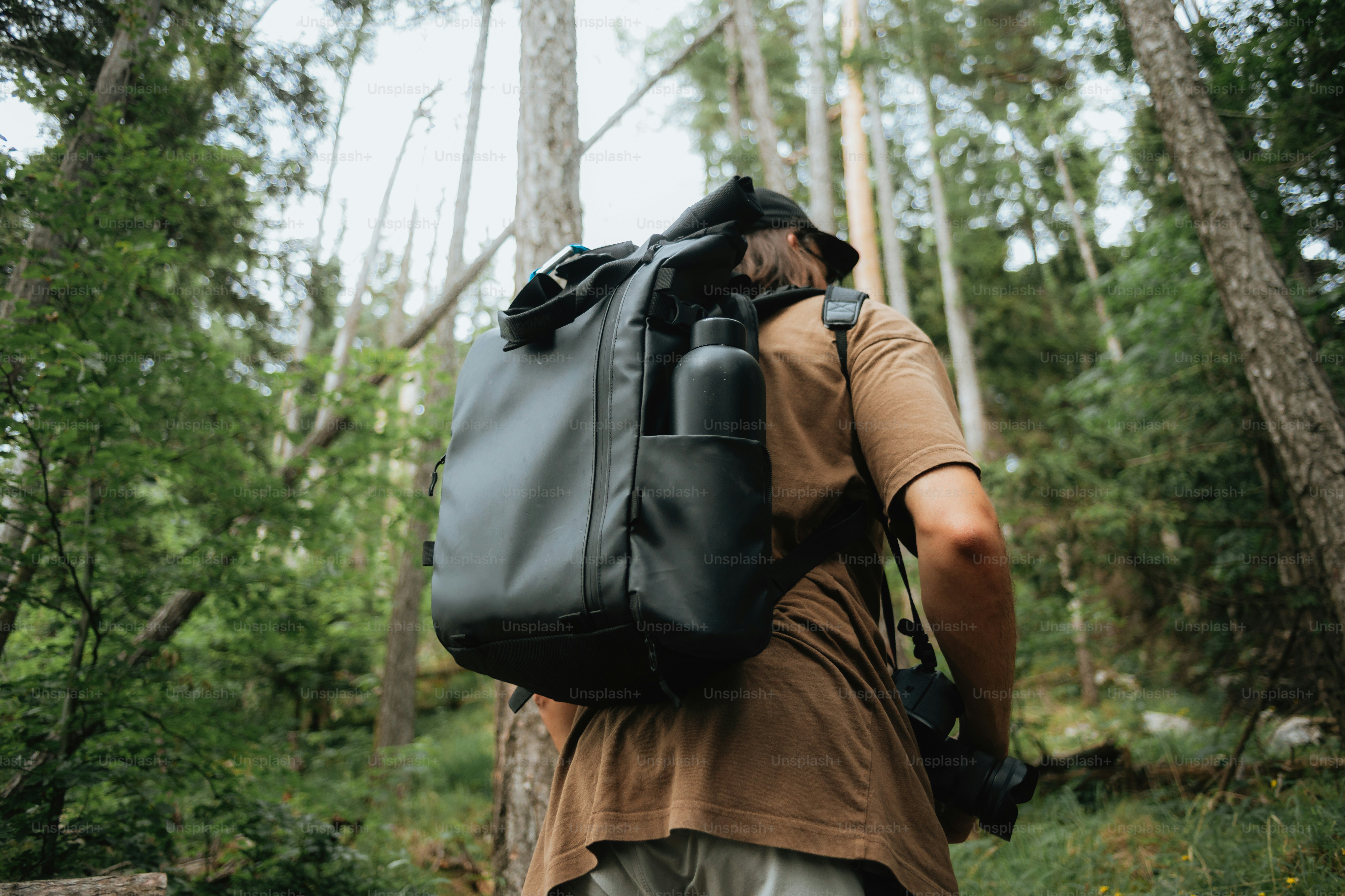 Seseorang dengan ransel berjalan melalui hutan hijau.