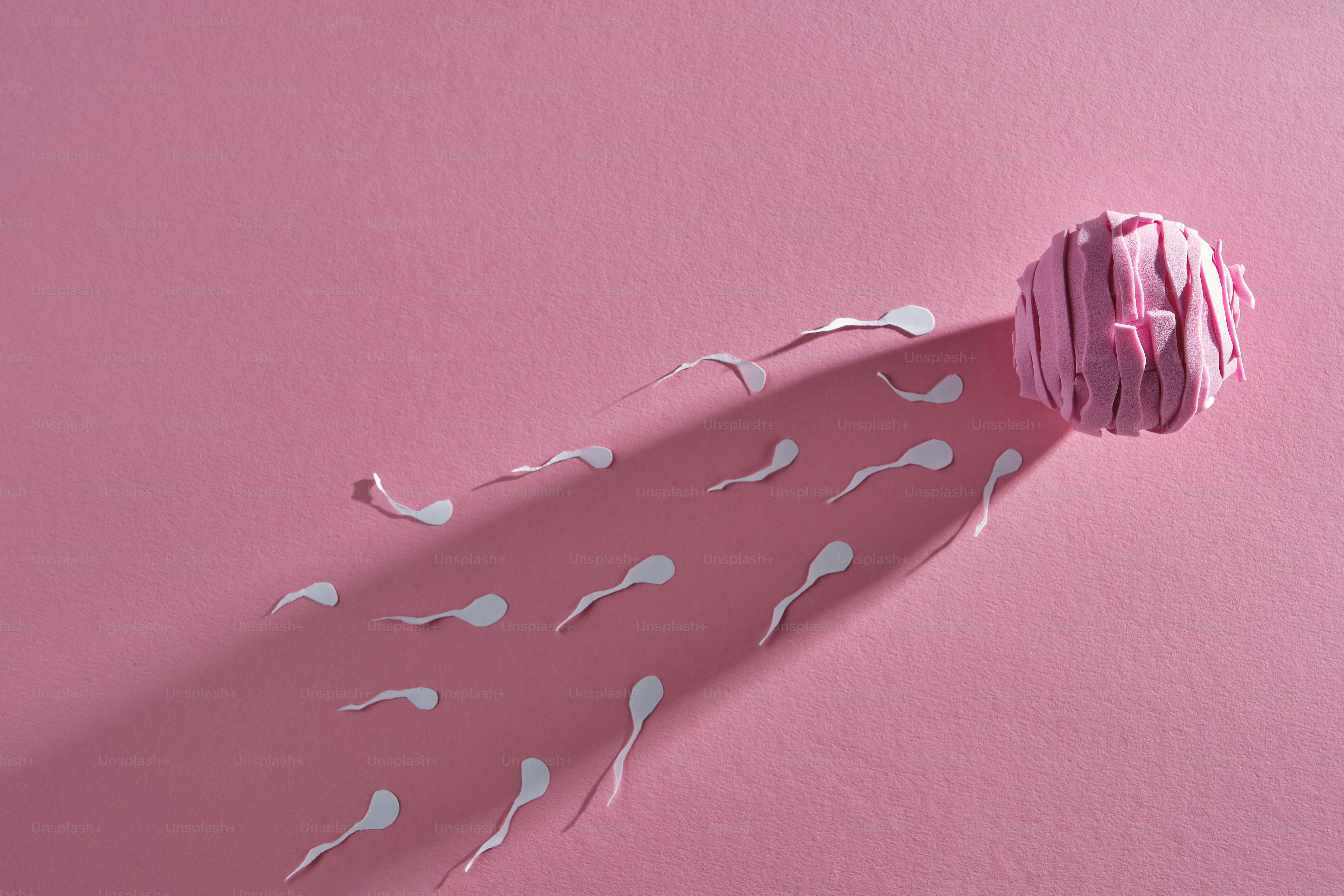 Des formes blanches de spermatozoïdes se dirigeant vers un œuf à texture rose.